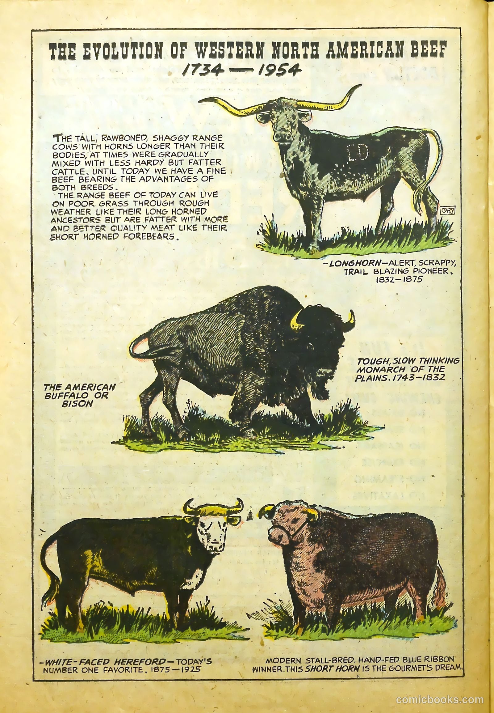 Prize Comics Western #106 (1950) — page 22 of 36