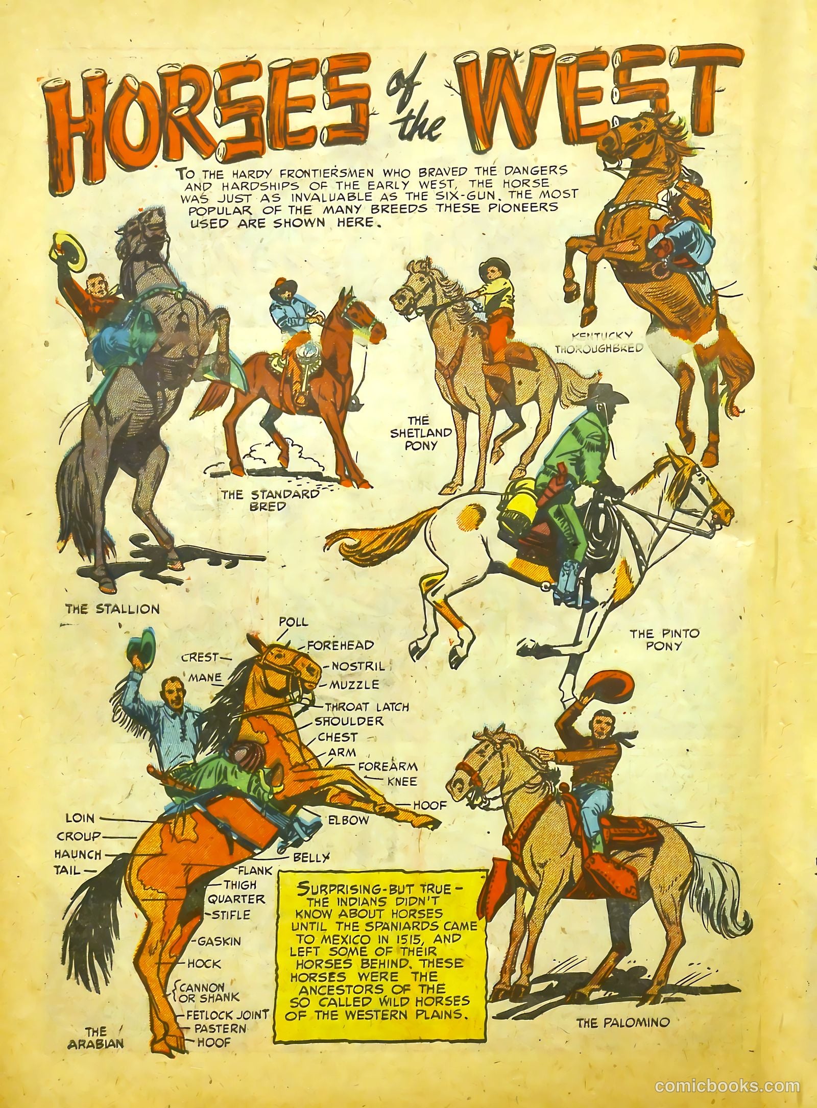 Prize Comics Western #89 (1950) — page 12 of 52