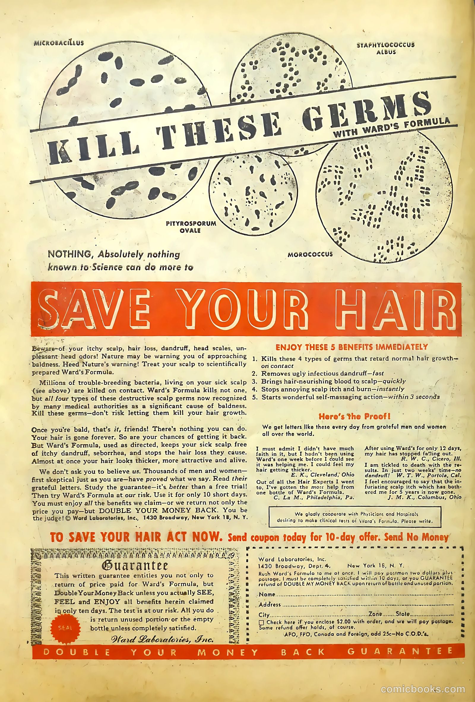 Headline Comics #41 (1949) — page 50 of 52