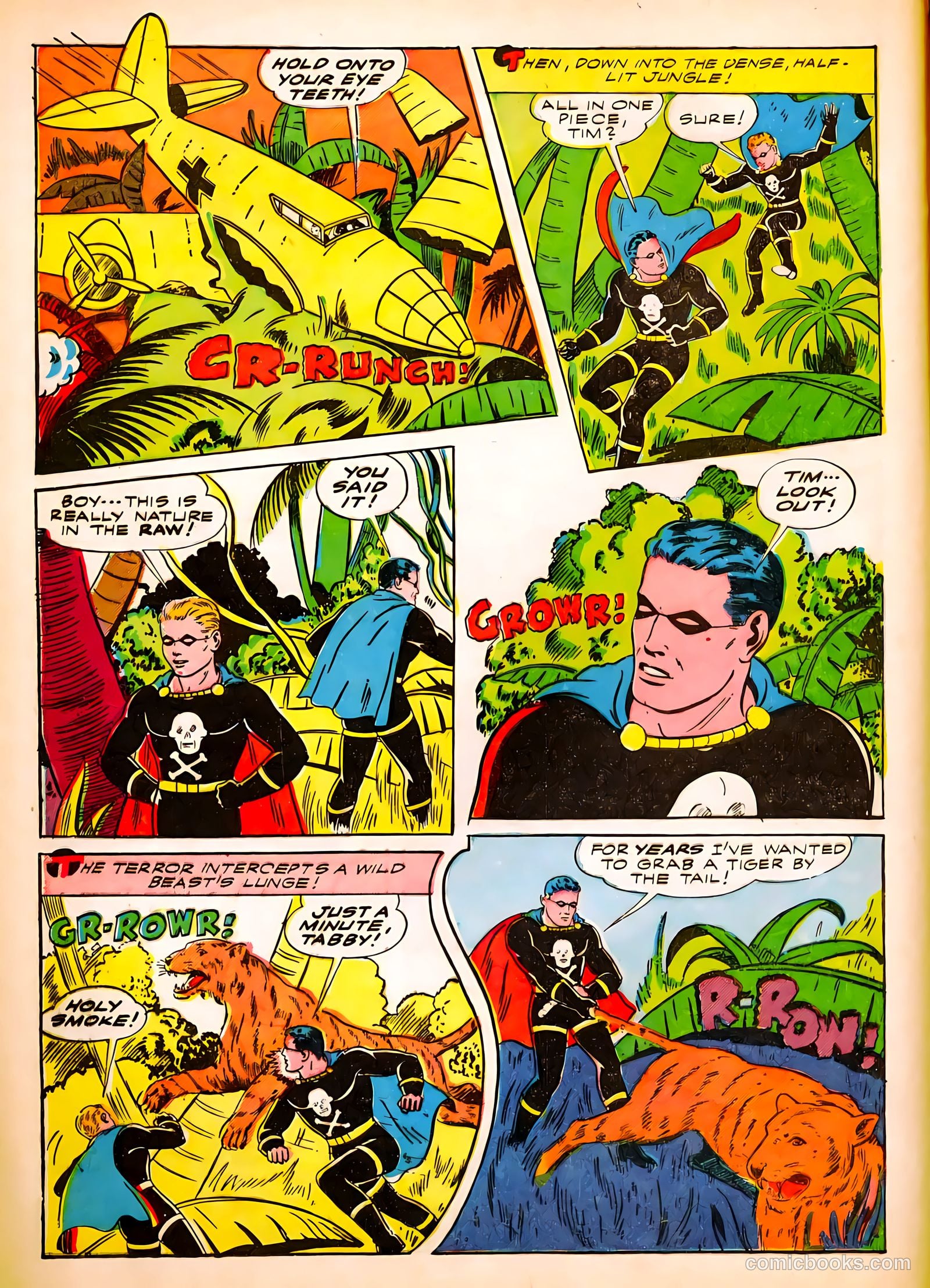 The Black Terror #2 (1942) — page 19 of 65