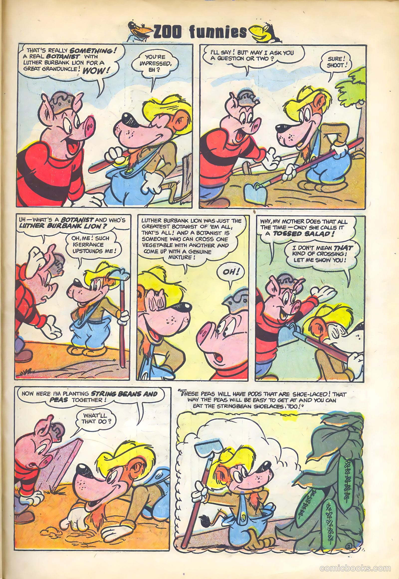 Zoo Funnies v2 #7 — page 27 of 36