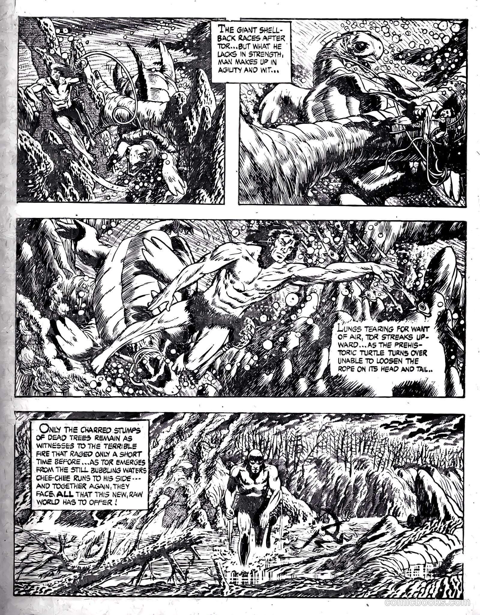 3D Comics 2 Tor #1 — page 23 of 36