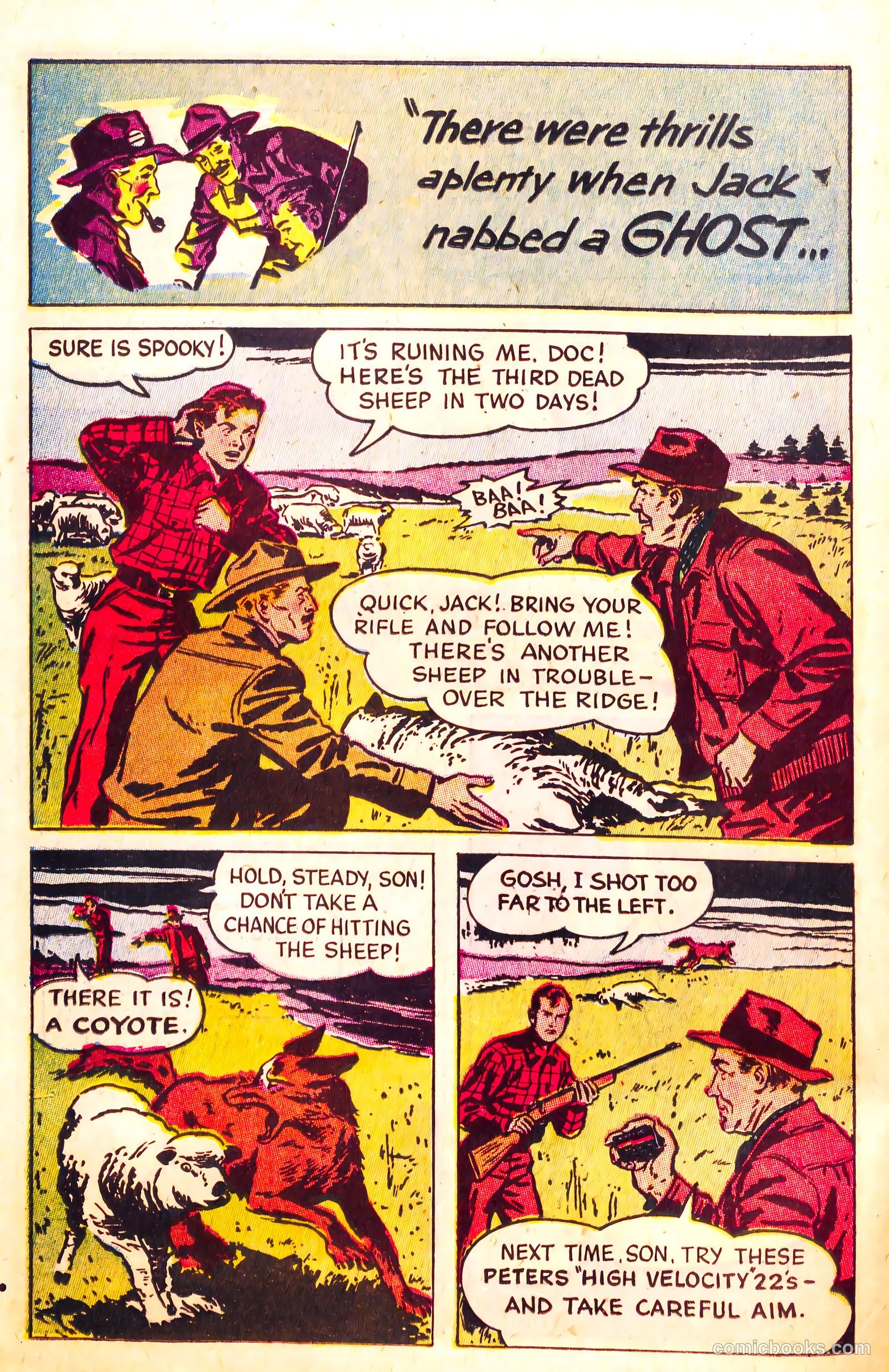 Shooting Adventures of "Doc" Peters #nn (1953) — page 12 of 16