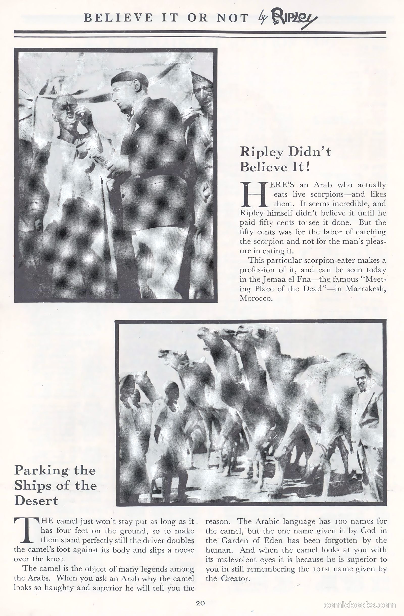 A New Believe It Or Not #nn (1934) — page 19 of 32