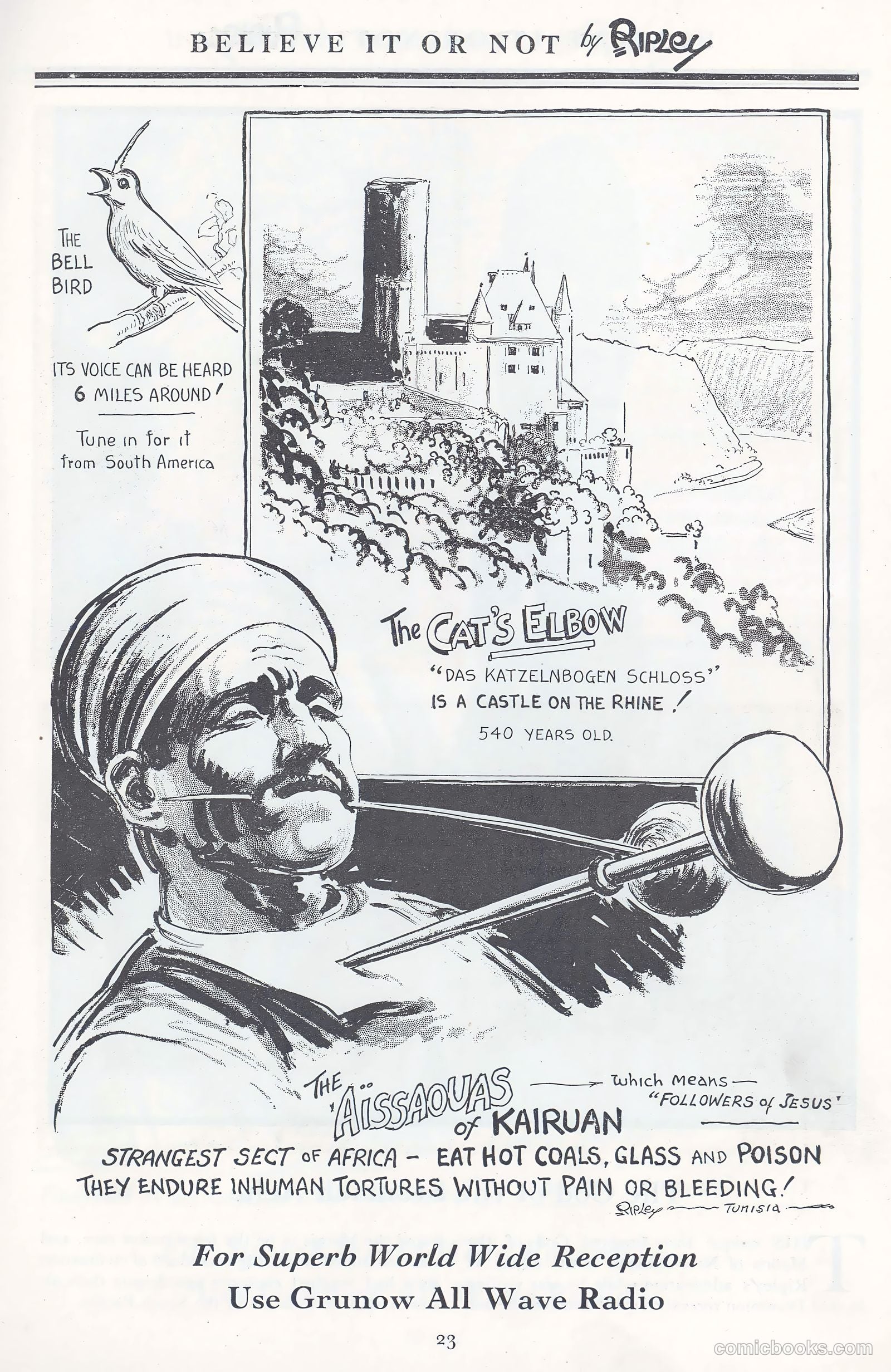 A New Believe It Or Not #nn (1934) — page 22 of 32