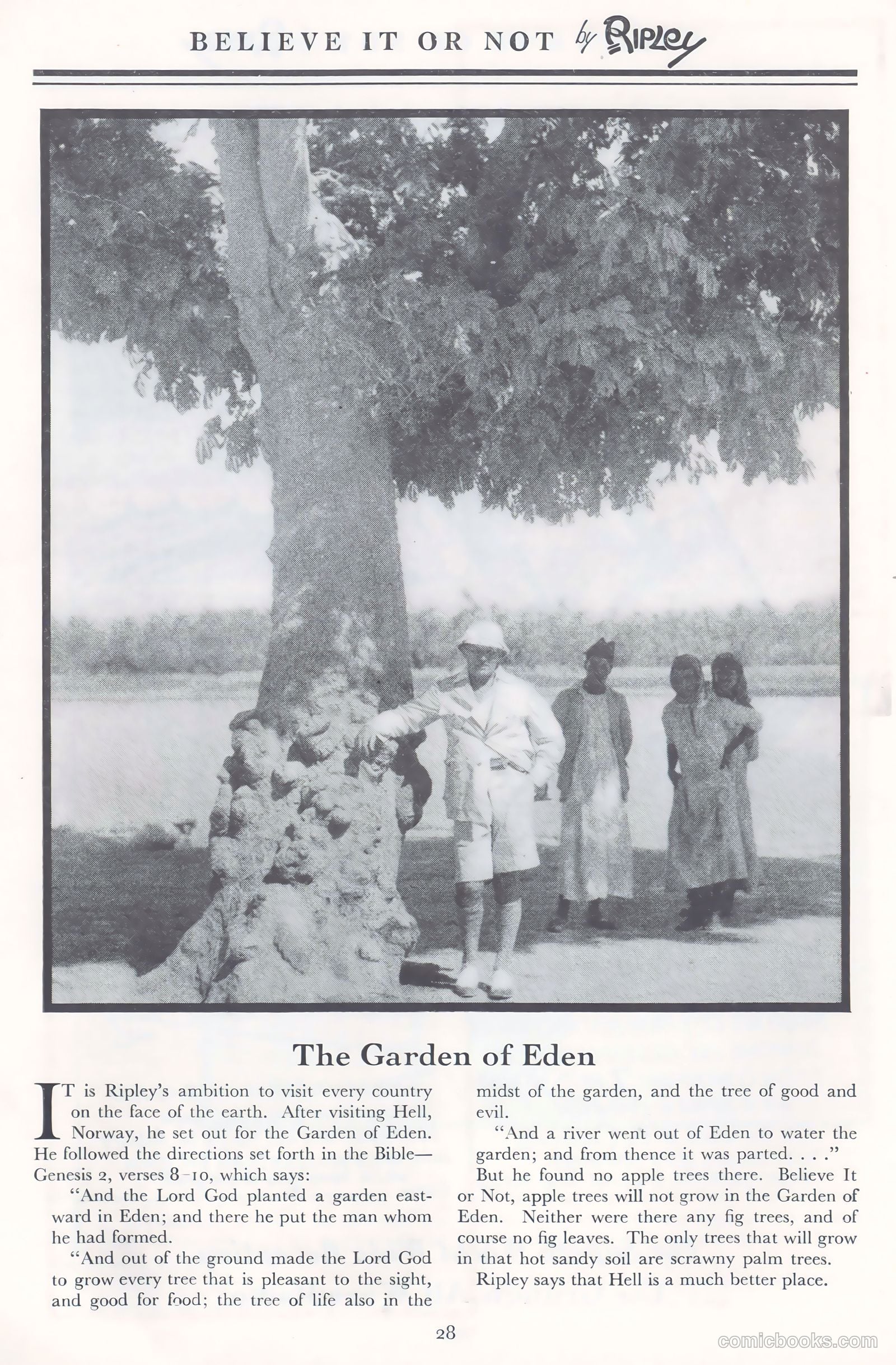 A New Believe It Or Not #nn (1934) — page 27 of 32