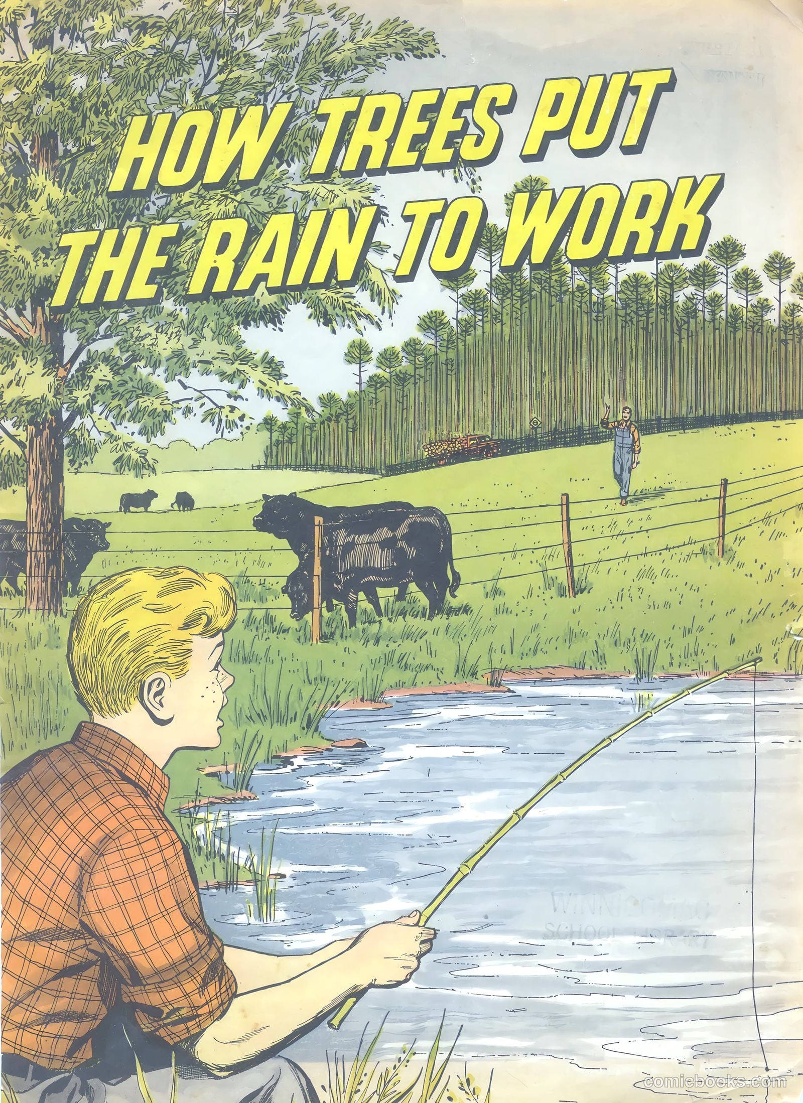 How Trees Put the Rain to Work