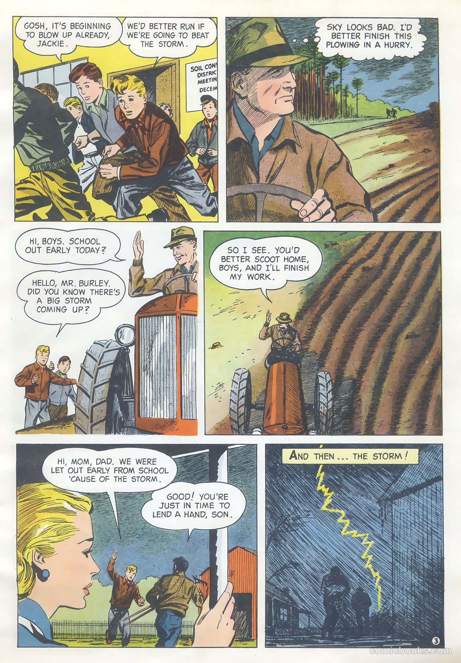 How Trees Put the Rain to Work #nn (1956) — page 3 of 16