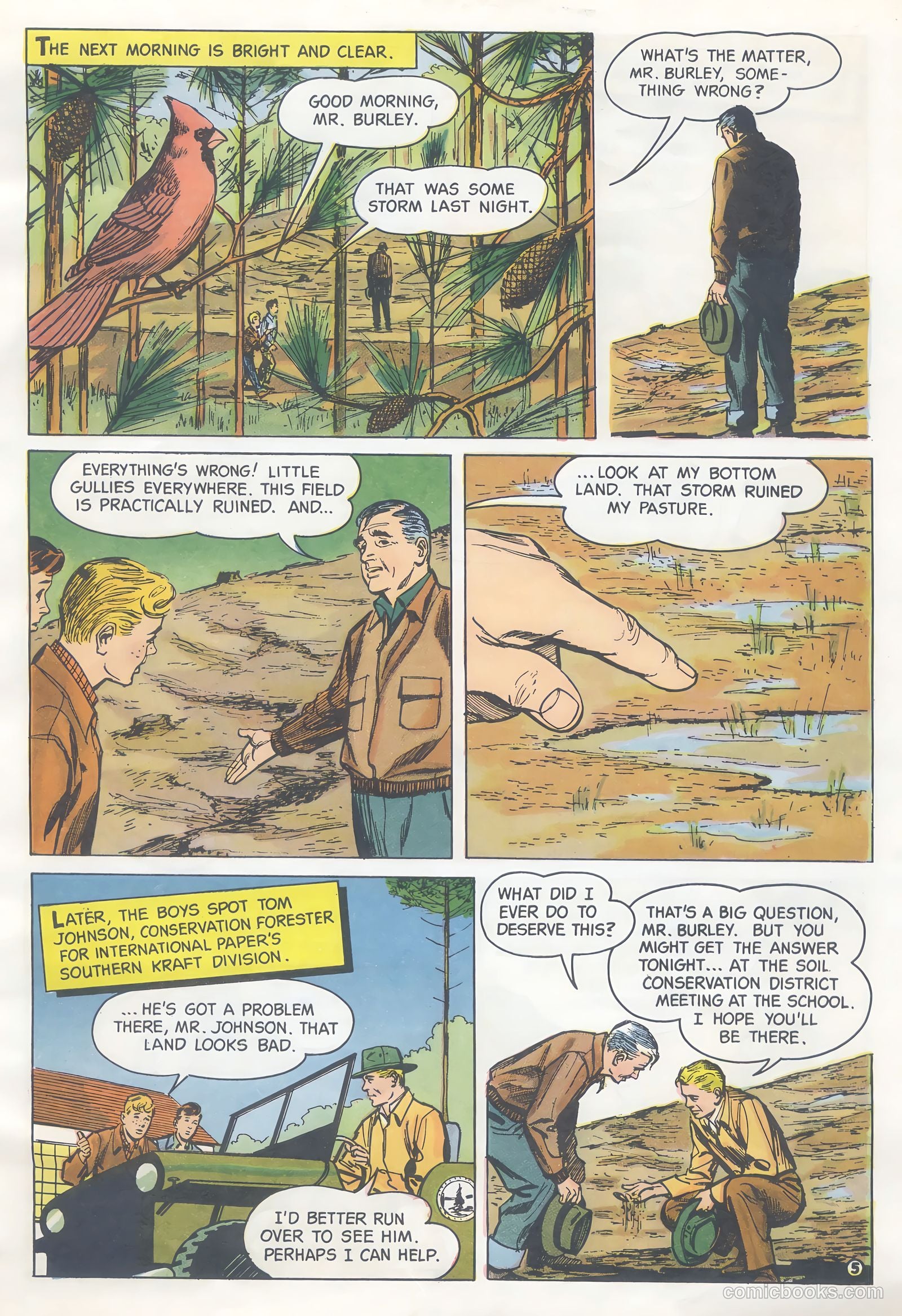 How Trees Put the Rain to Work #nn (1956) — page 5 of 16