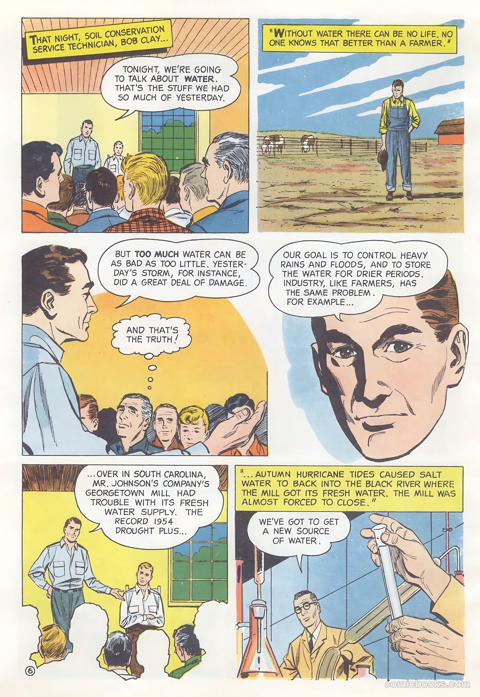 How Trees Put the Rain to Work #nn (1956) — page 6 of 16