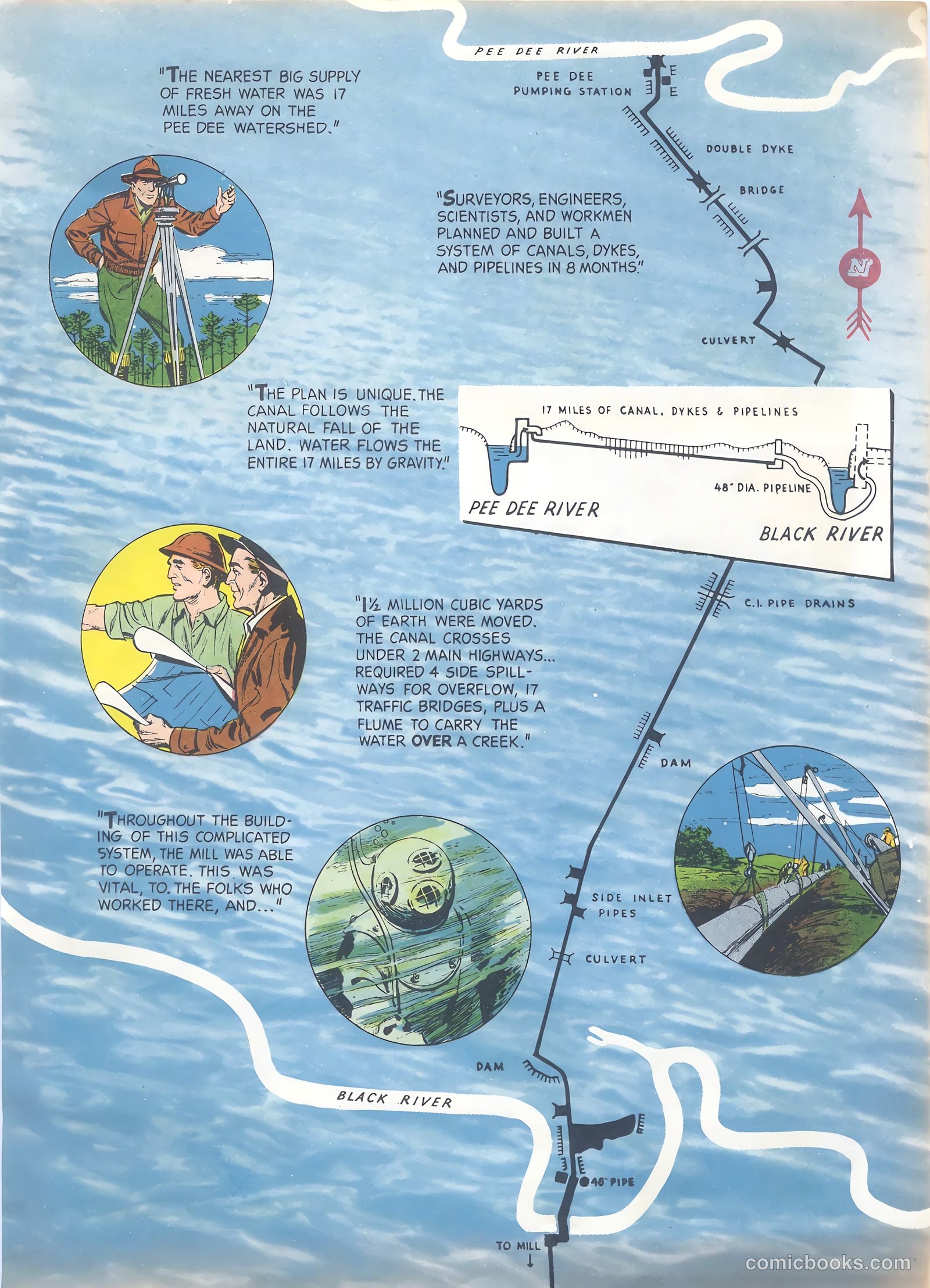How Trees Put the Rain to Work #nn (1956) — page 7 of 16