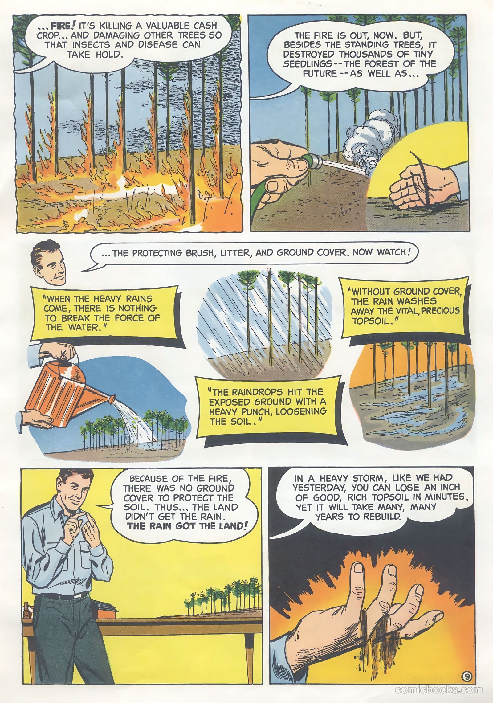 How Trees Put the Rain to Work #nn (1956) — page 9 of 16