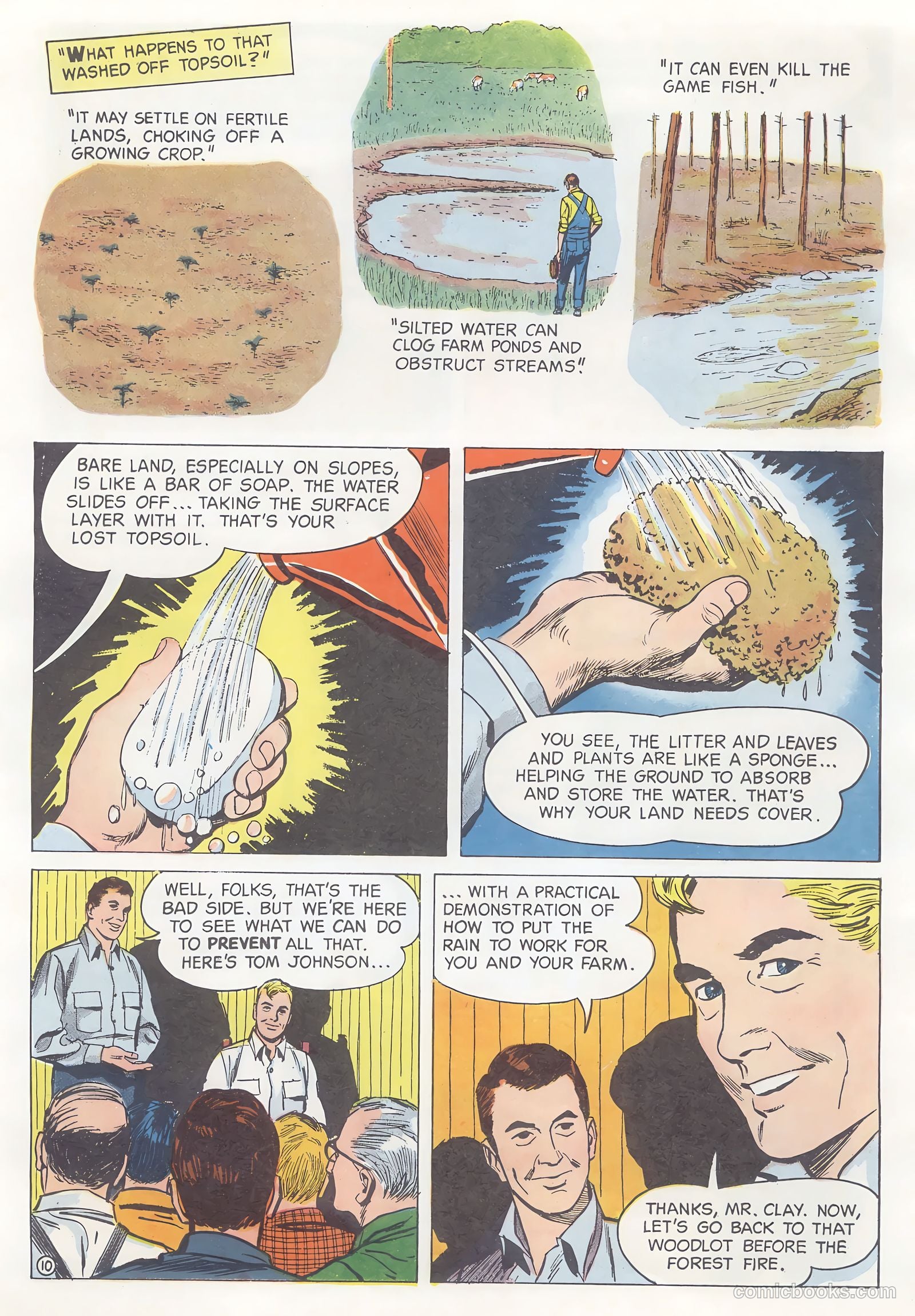 How Trees Put the Rain to Work #nn (1956) — page 10 of 16