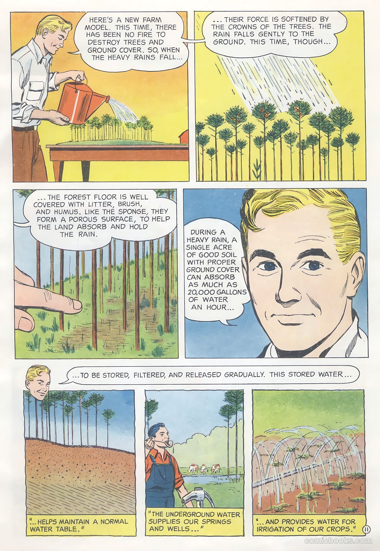 How Trees Put the Rain to Work #nn (1956) — page 11 of 16