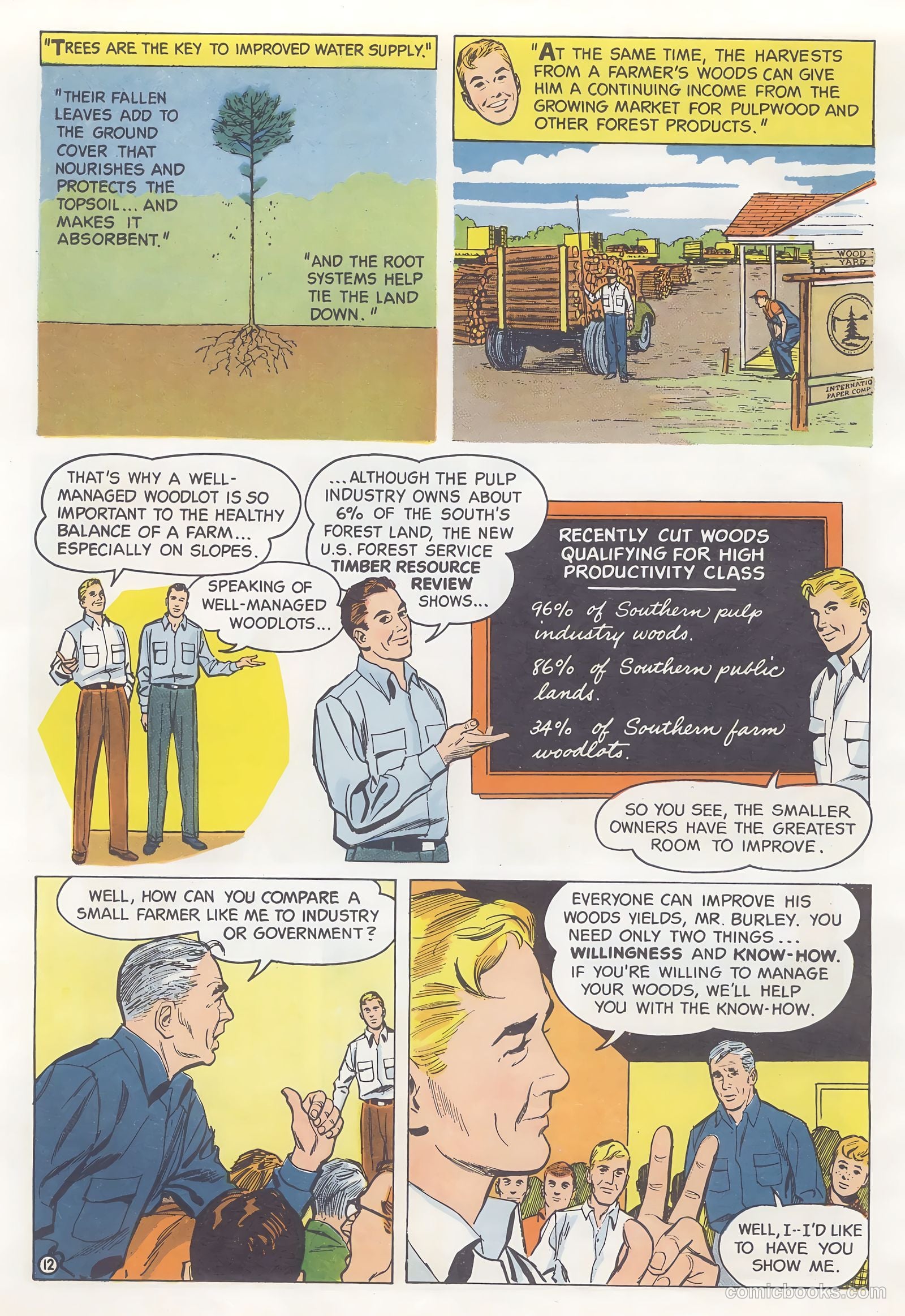 How Trees Put the Rain to Work #nn (1956) — page 12 of 16