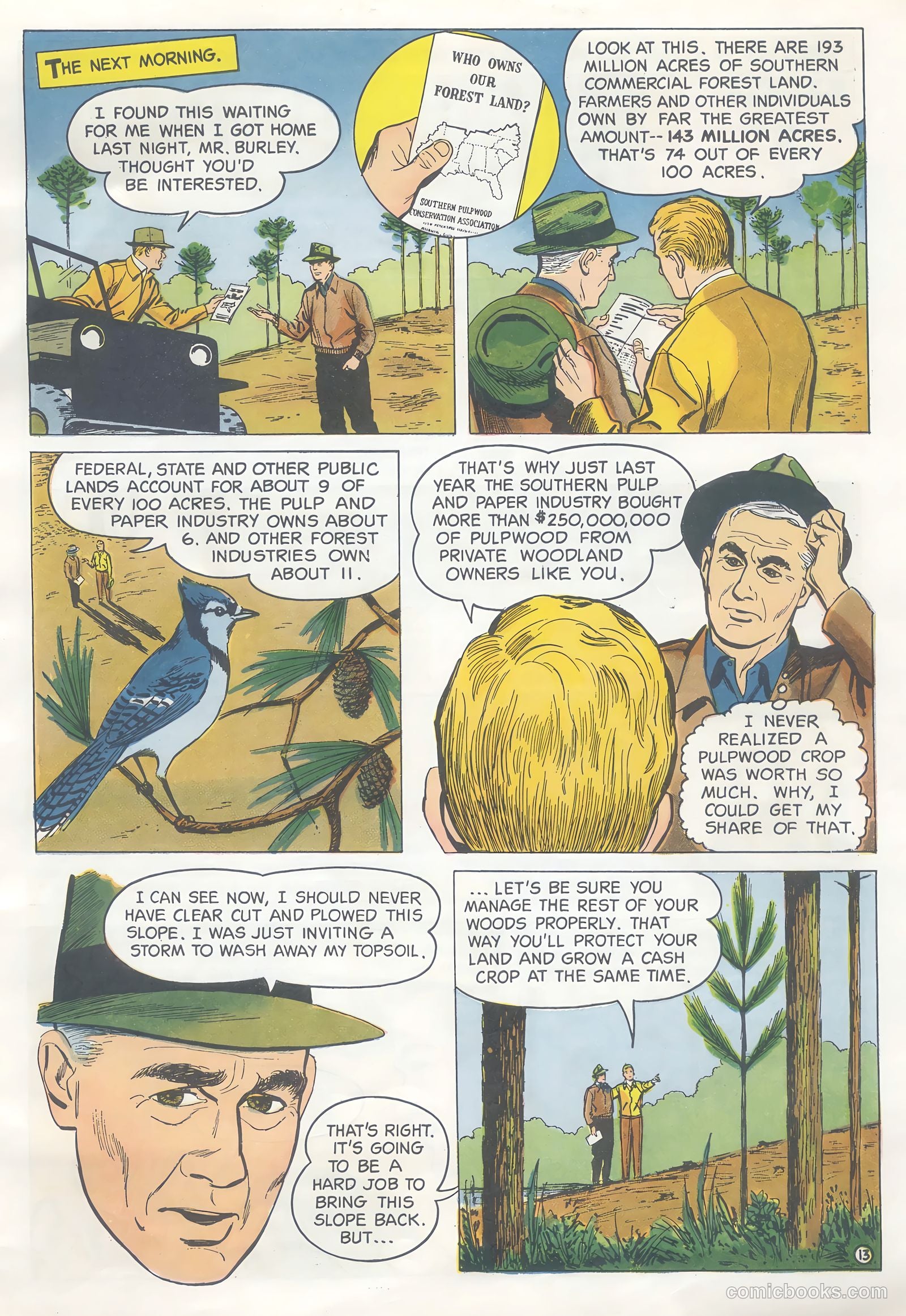 How Trees Put the Rain to Work #nn (1956) — page 13 of 16