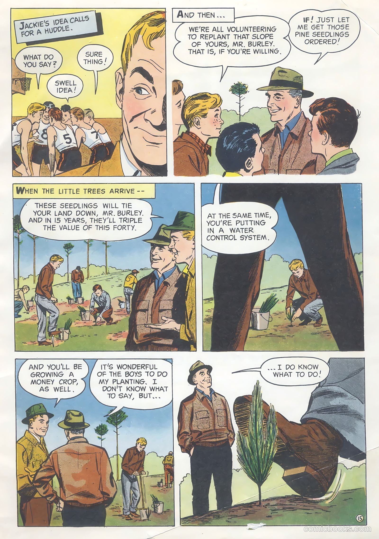 How Trees Put the Rain to Work #nn (1956) — page 15 of 16