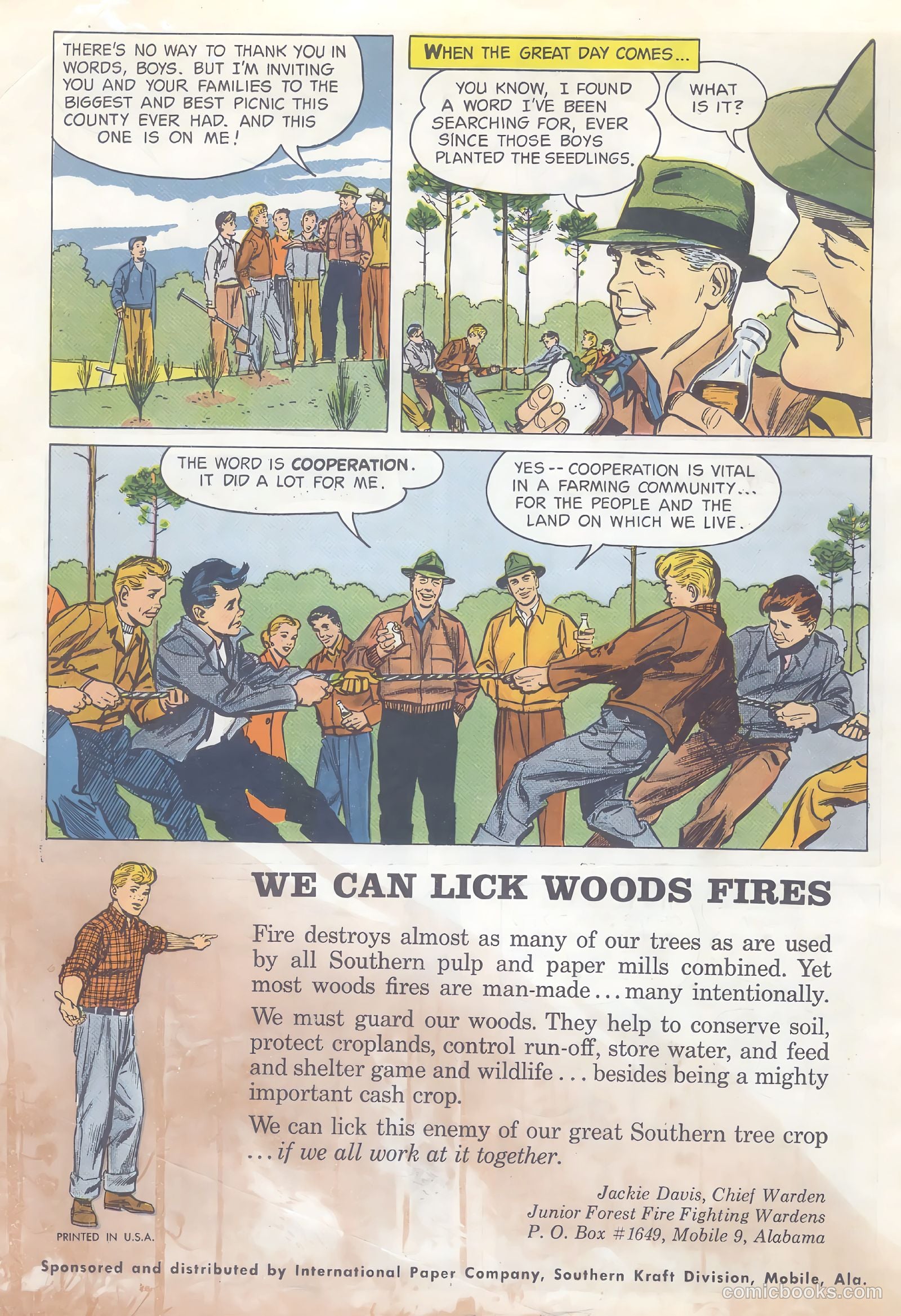How Trees Put the Rain to Work #nn (1956) — page 16 of 16