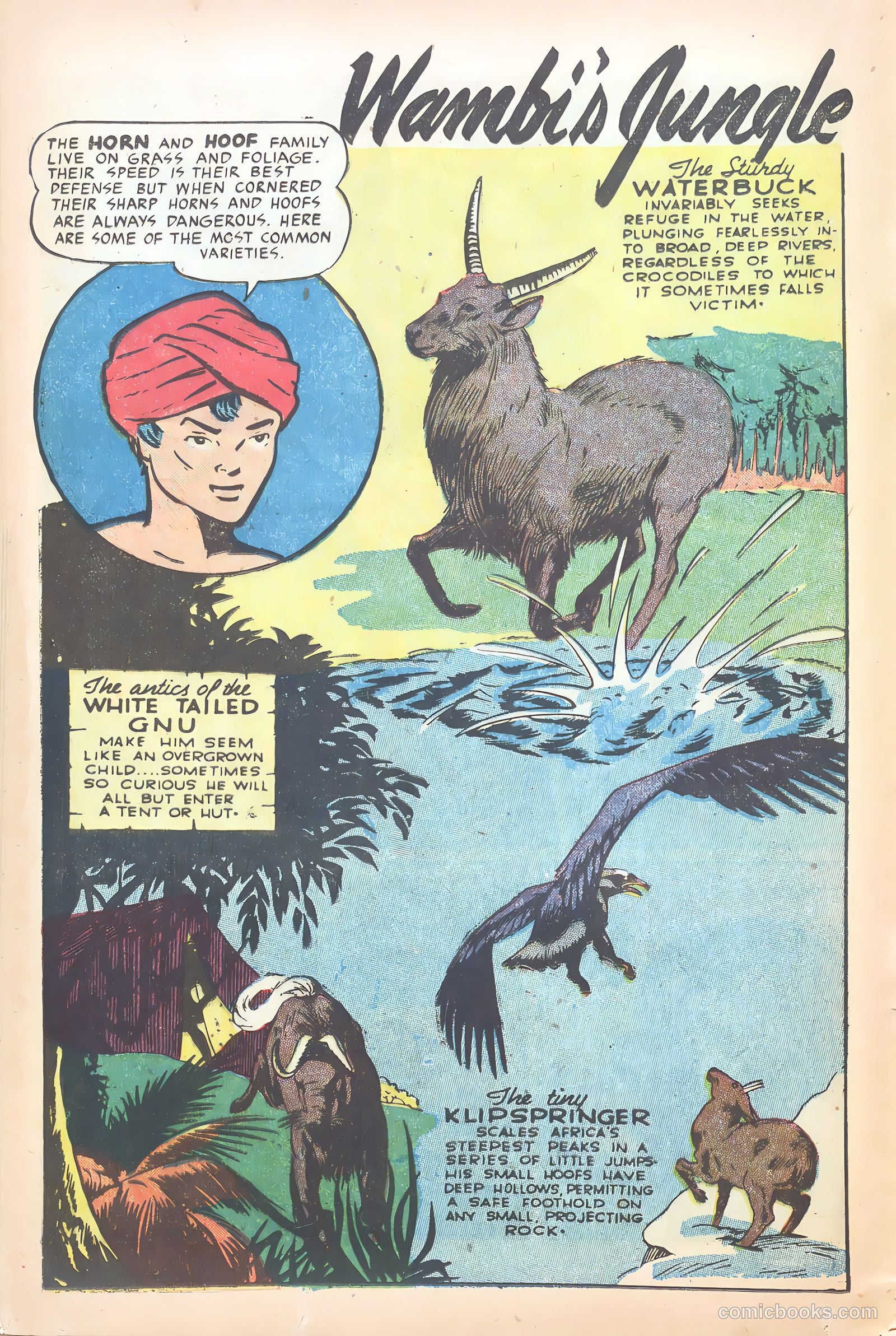 Wambi #15 (1958) — page 16 of 36