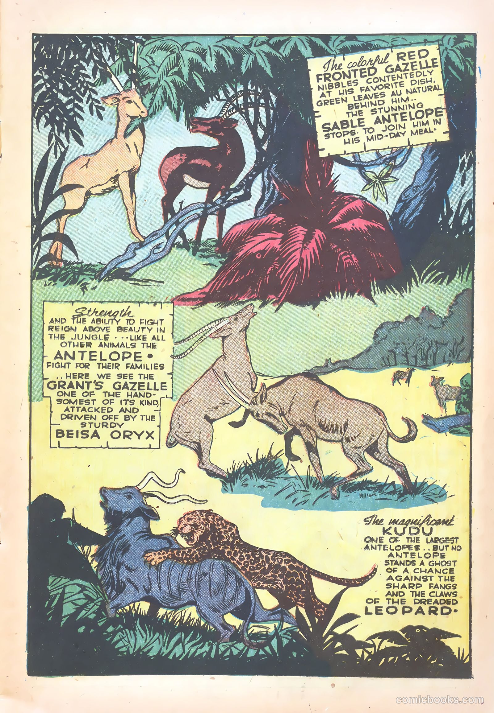 Wambi #15 (1958) — page 17 of 36