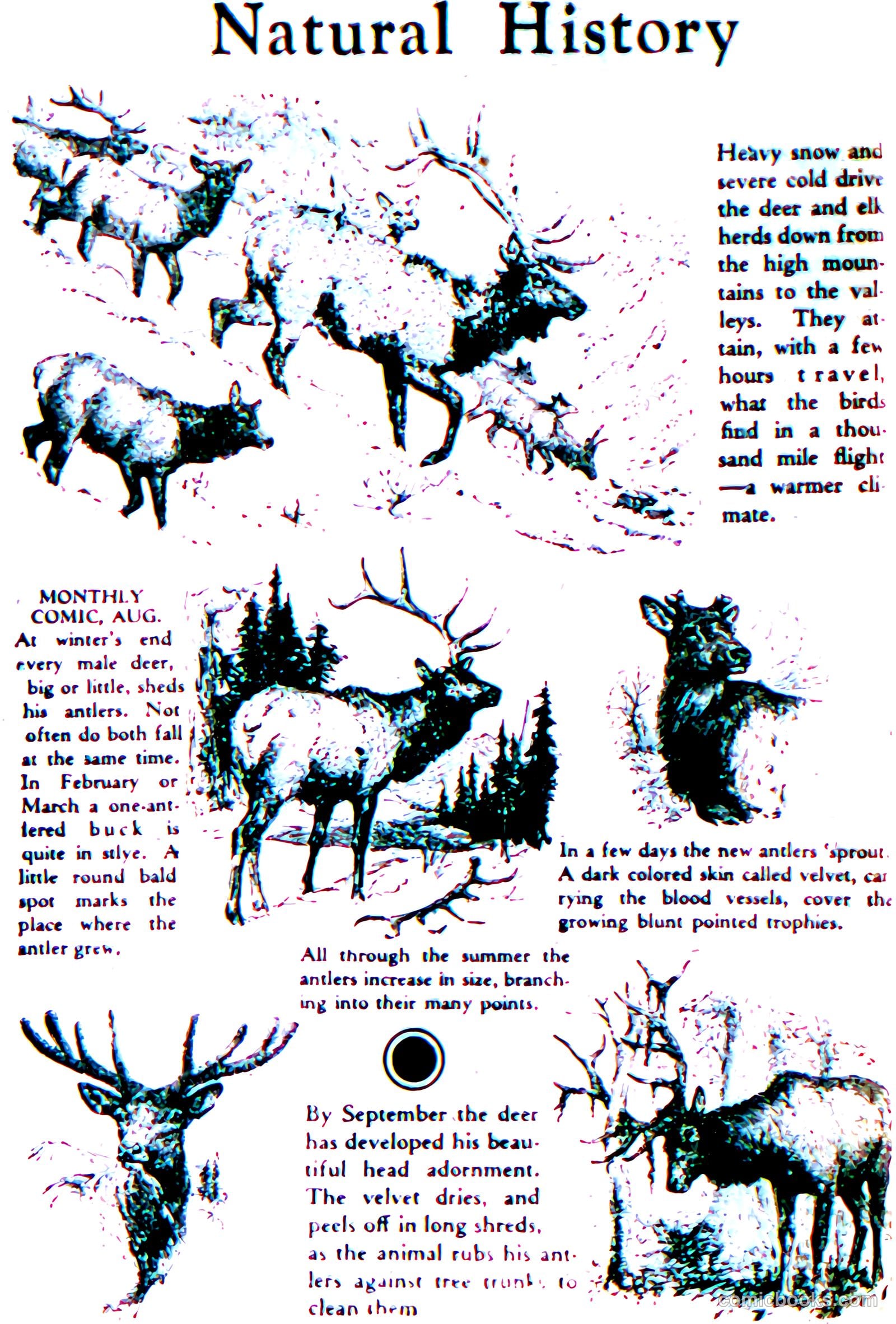 Comics Magazine #4 — page 26 of 67