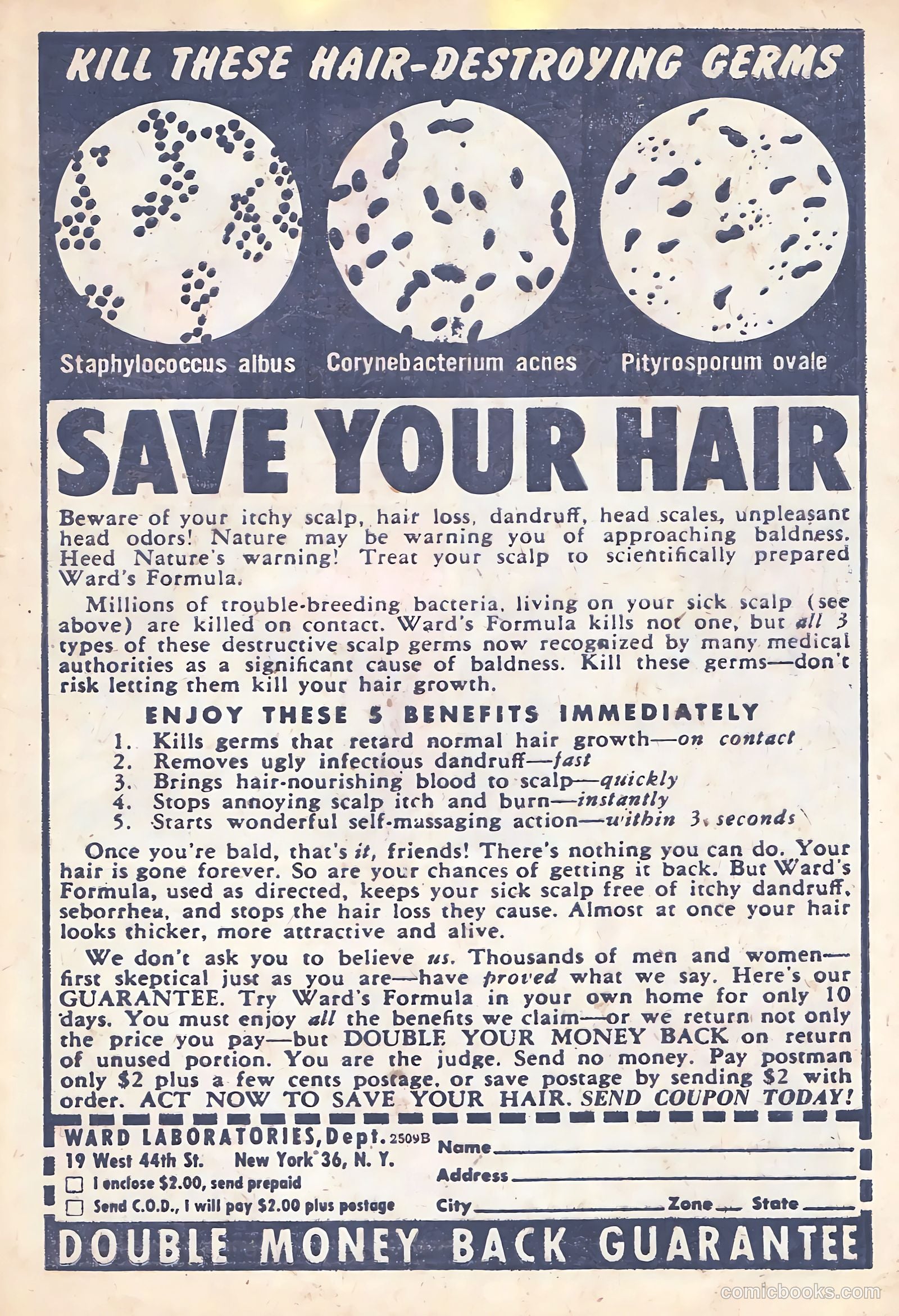Headline Comics #73 (1949) — page 30 of 37