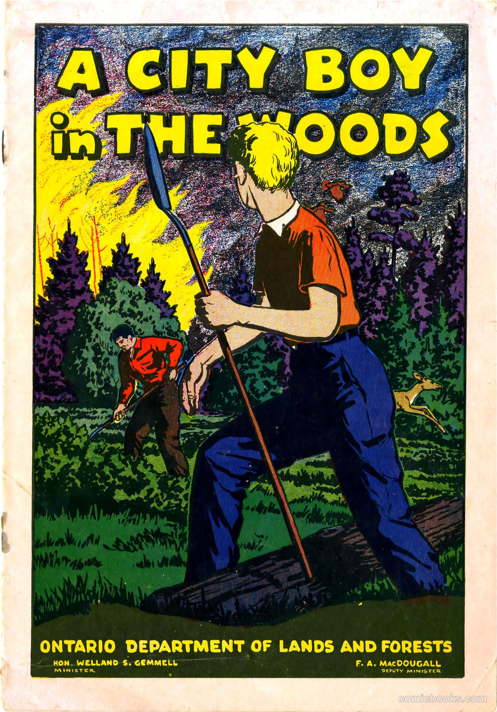 A City Boy in the Woods #nn