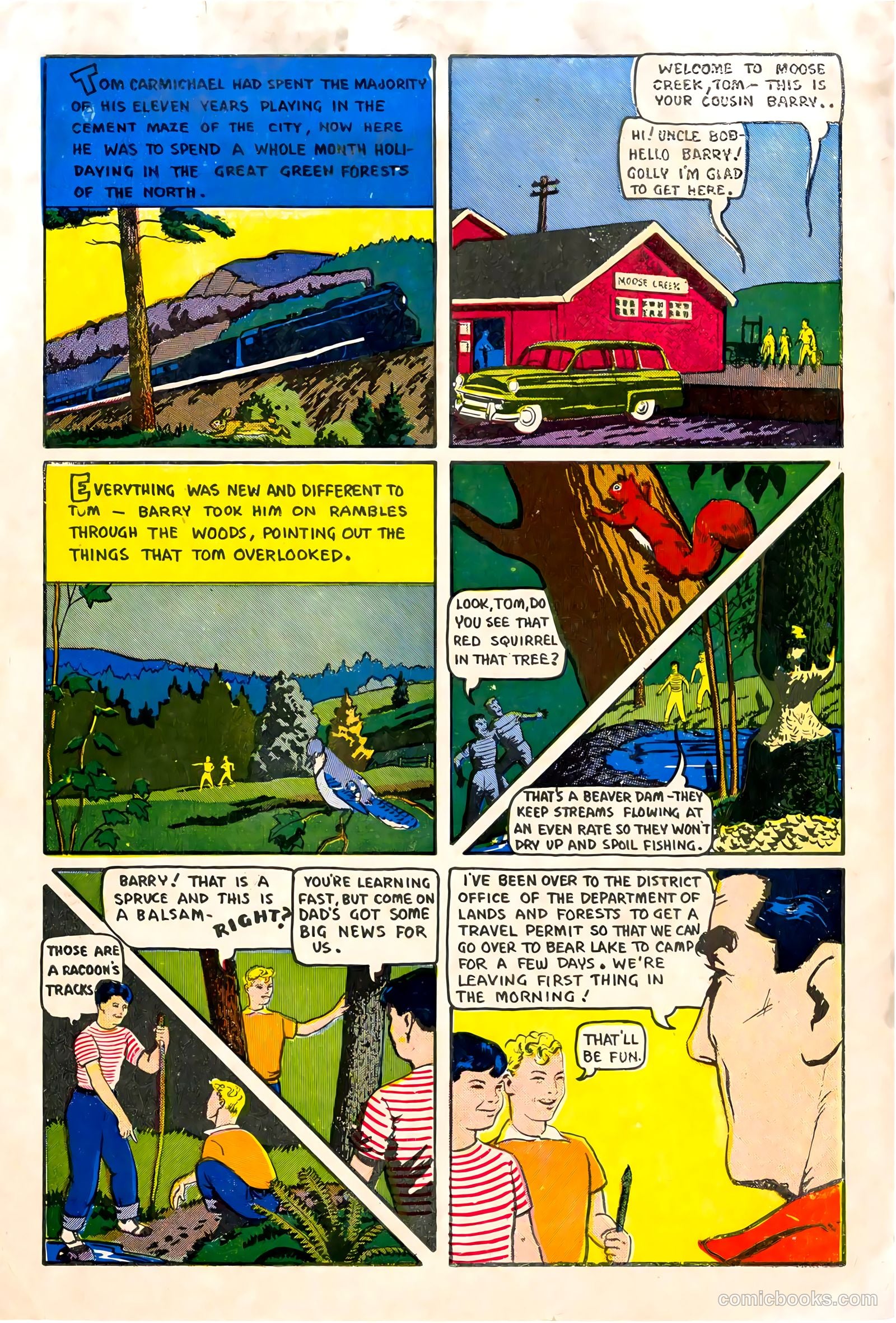 A City Boy in the Woods #nn (1955) — page 2 of 12