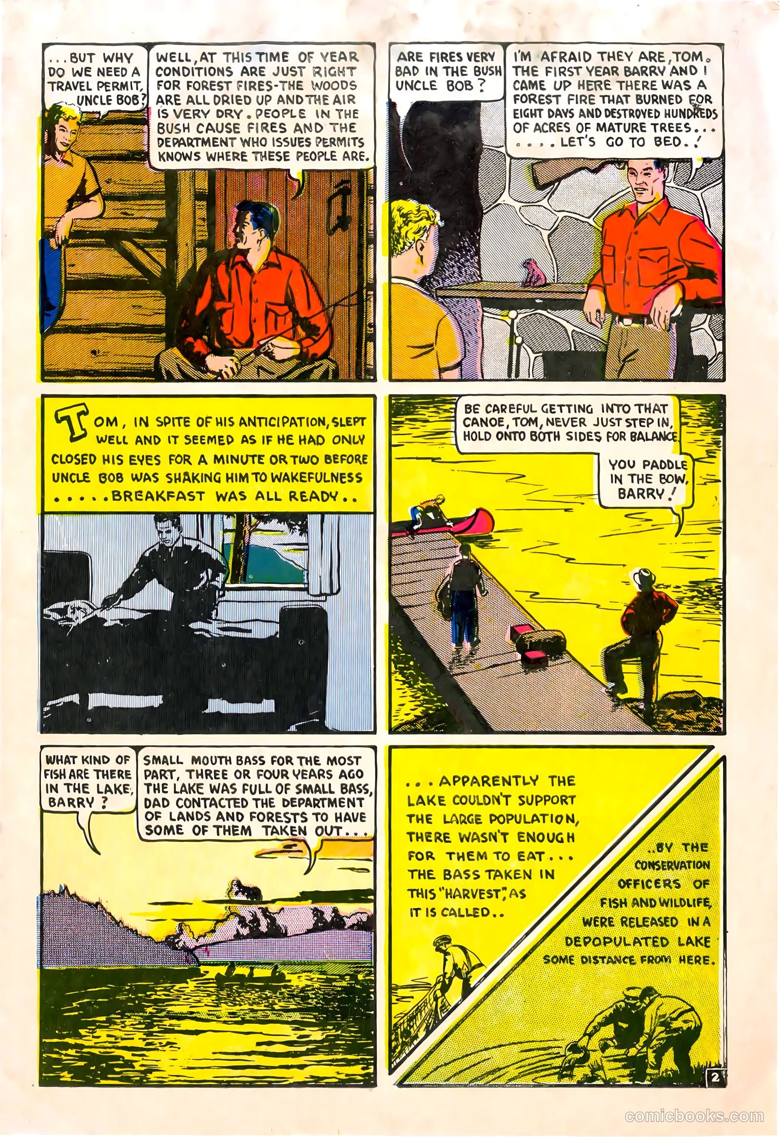 A City Boy in the Woods #nn (1955) — page 3 of 12