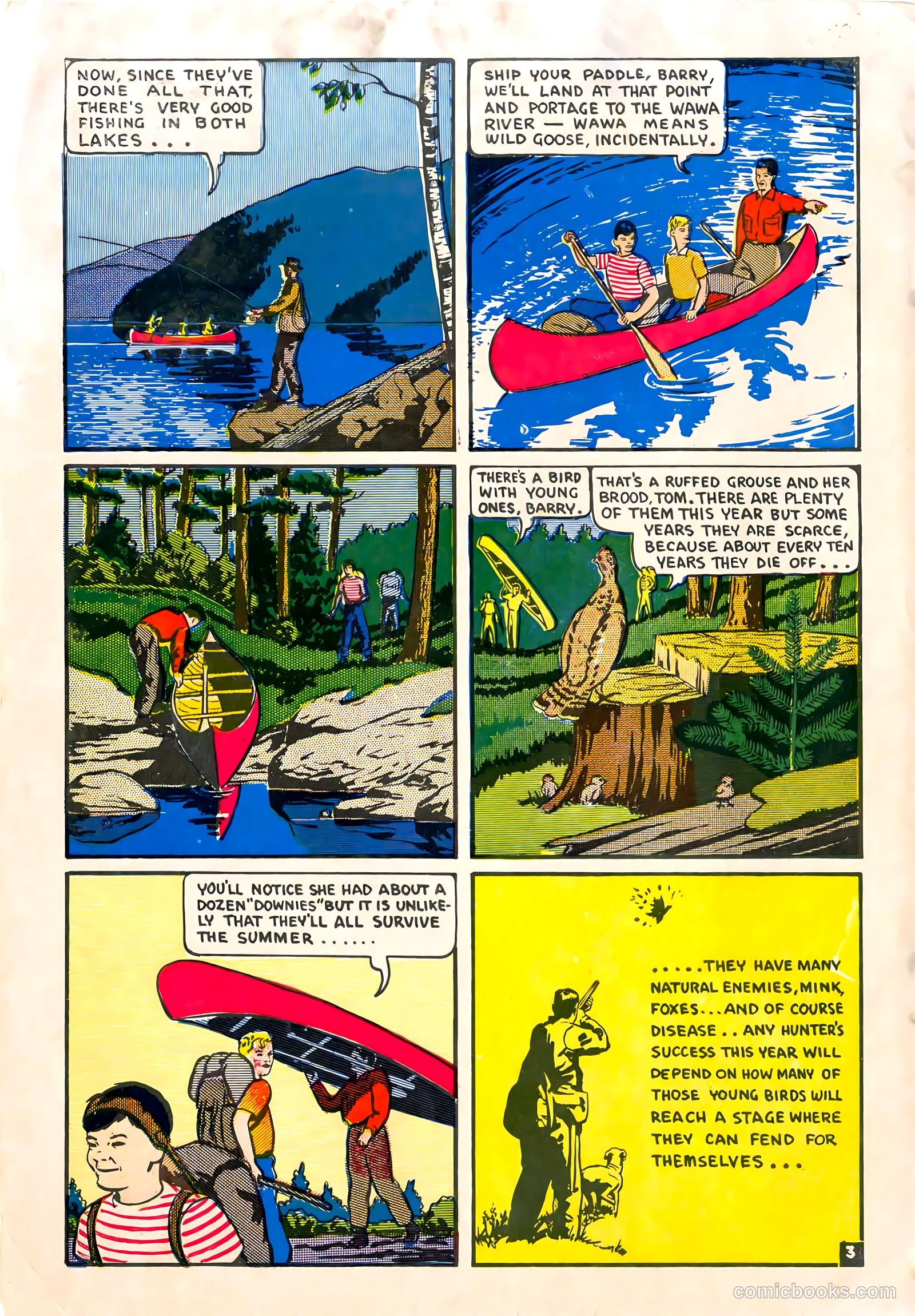 A City Boy in the Woods #nn (1955) — page 4 of 12