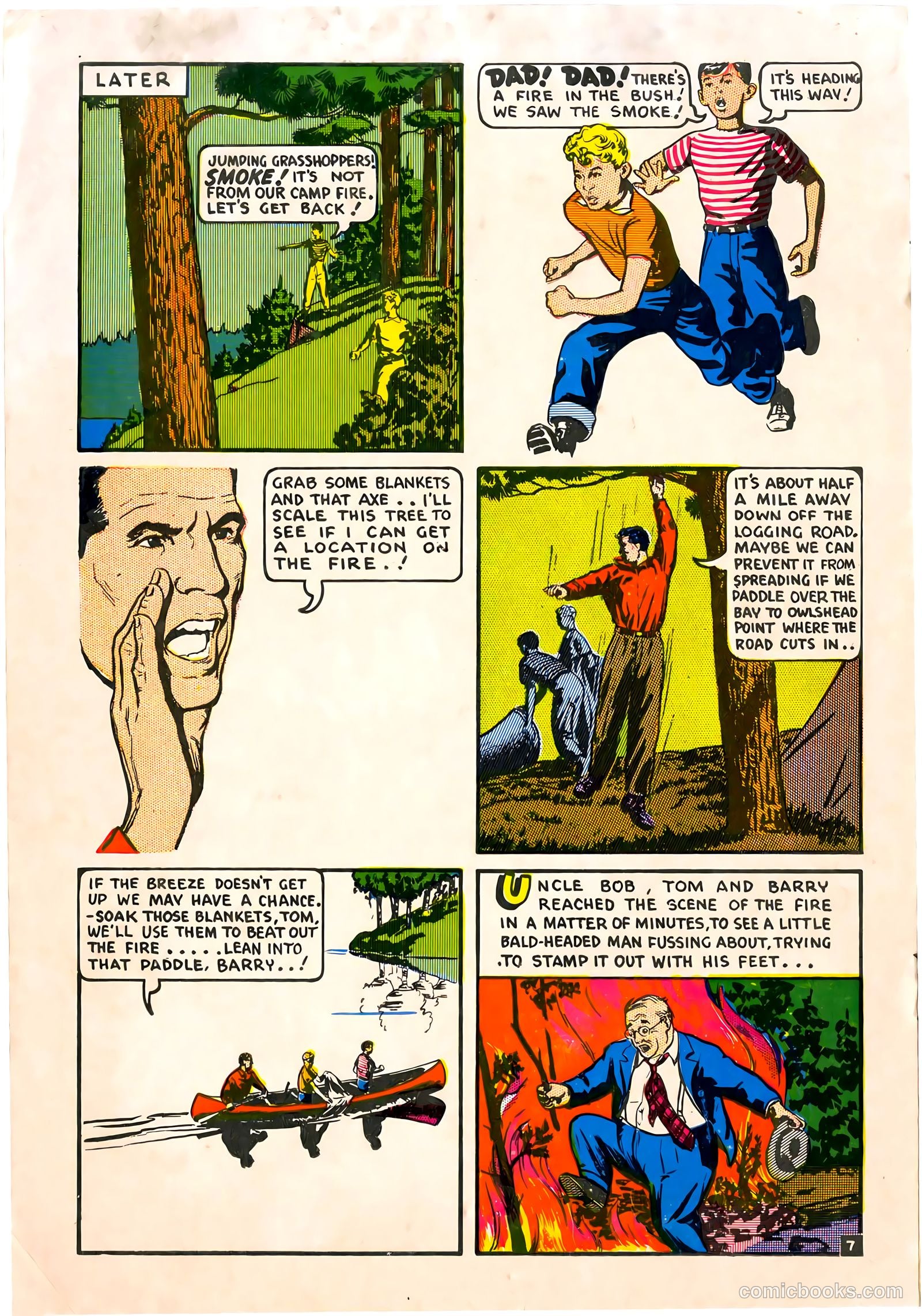 A City Boy in the Woods #nn (1955) — page 8 of 12