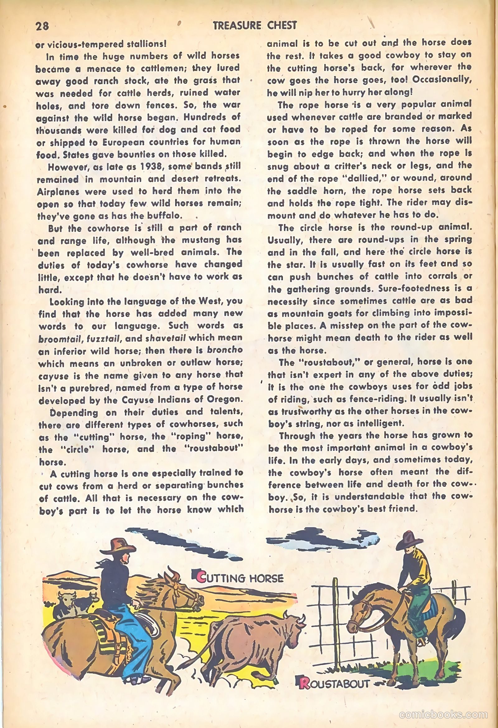 Treasure Chest of Fun and Fact v2 #19 — page 29 of 37