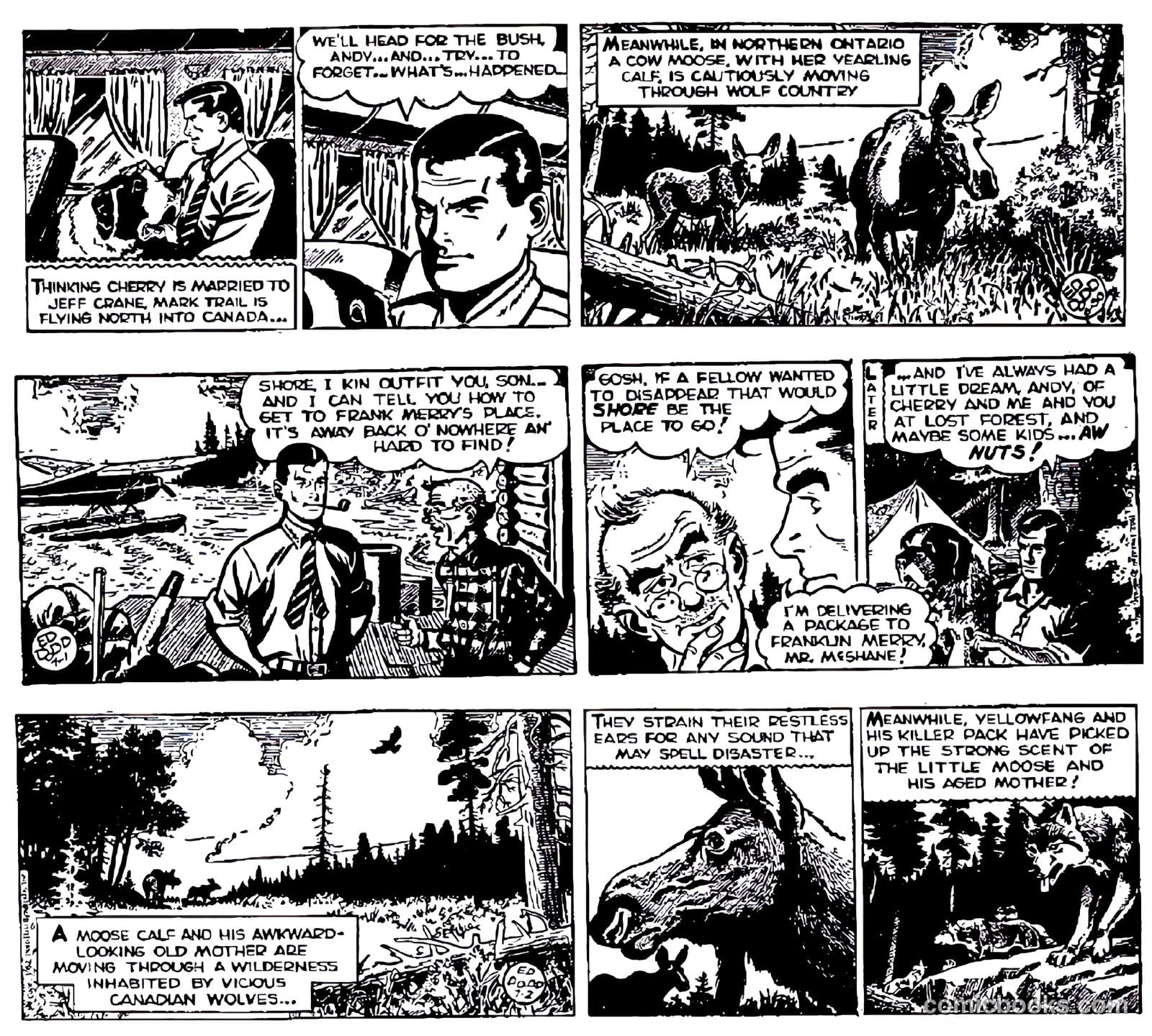 Mark Trail #nn