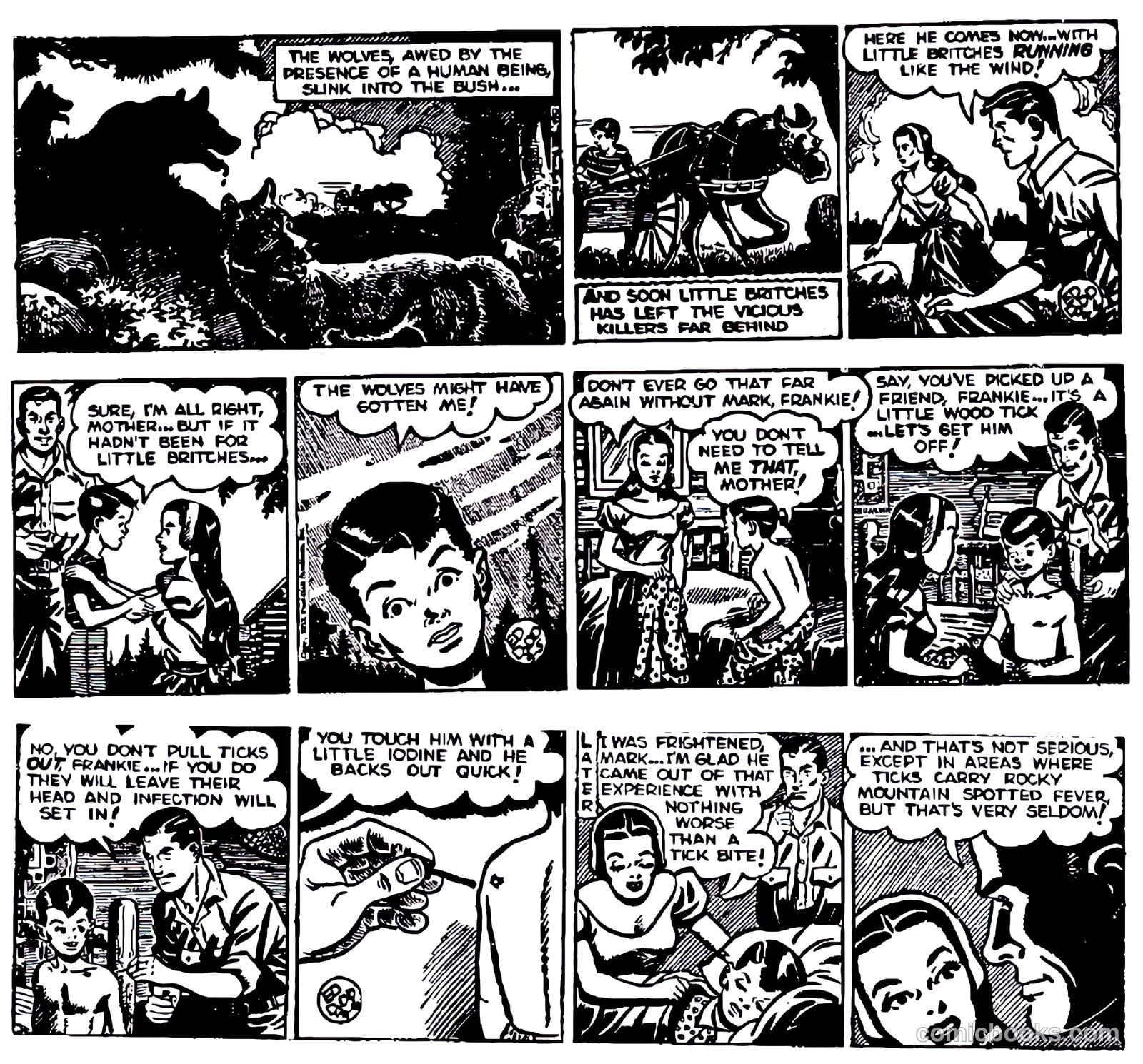 Mark Trail #nn (1952) — page 20 of 74