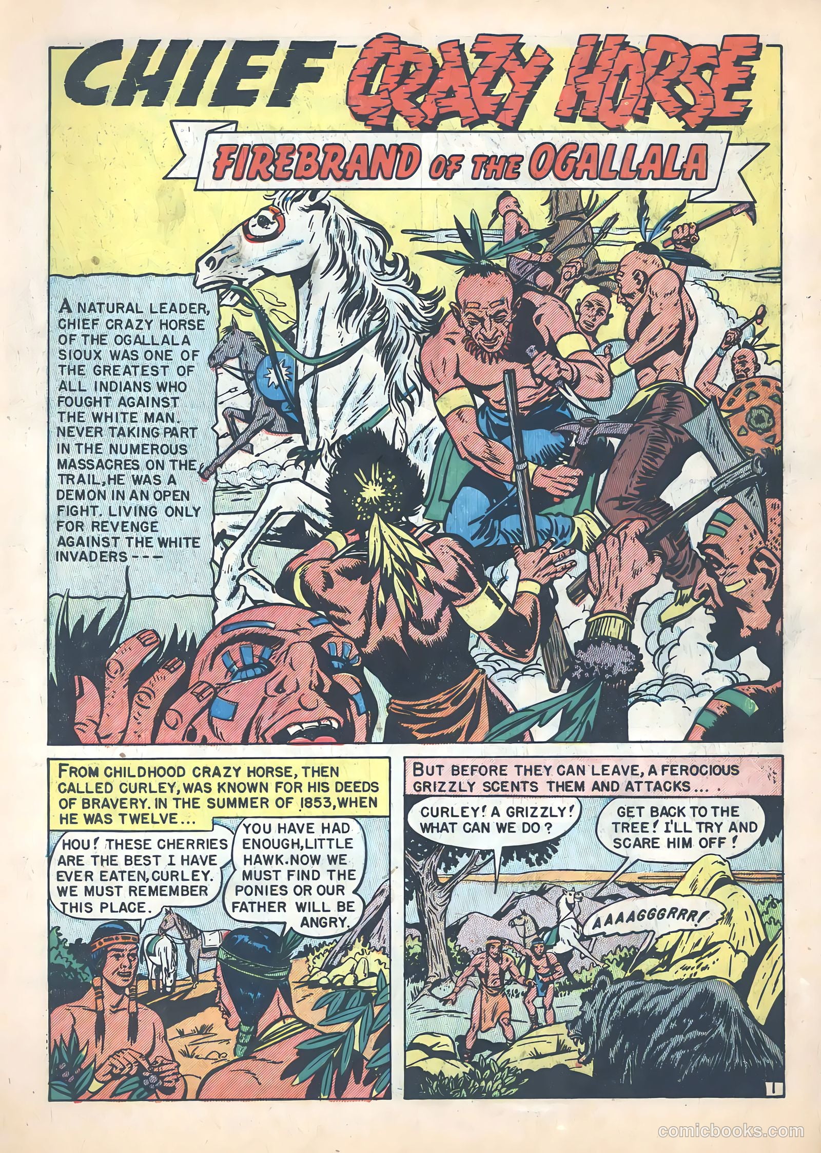 Chief Crazy Horse nn #1 — page 3 of 36