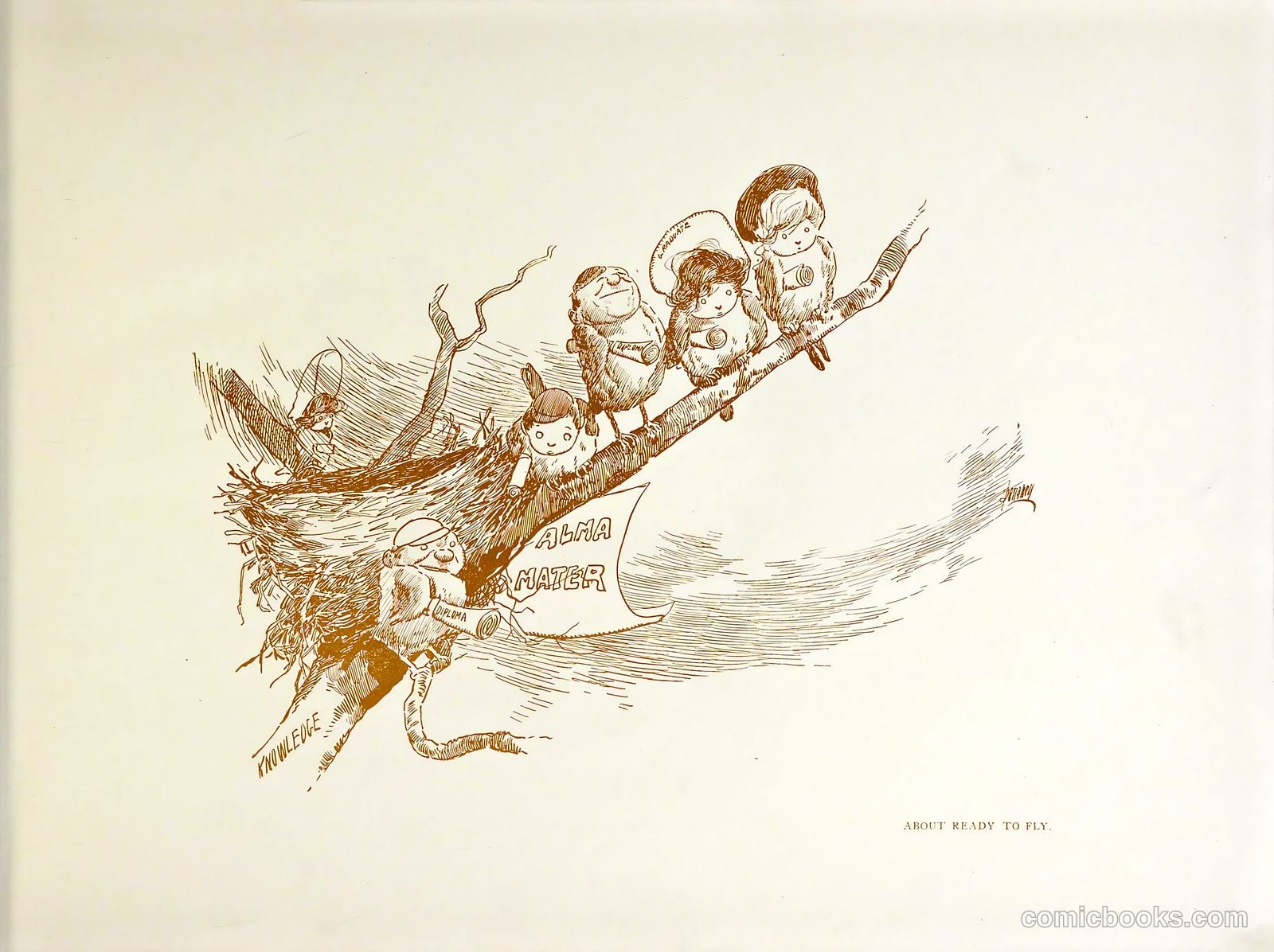 Cartoons by Donahey #nn (1906) — page 11 of 85