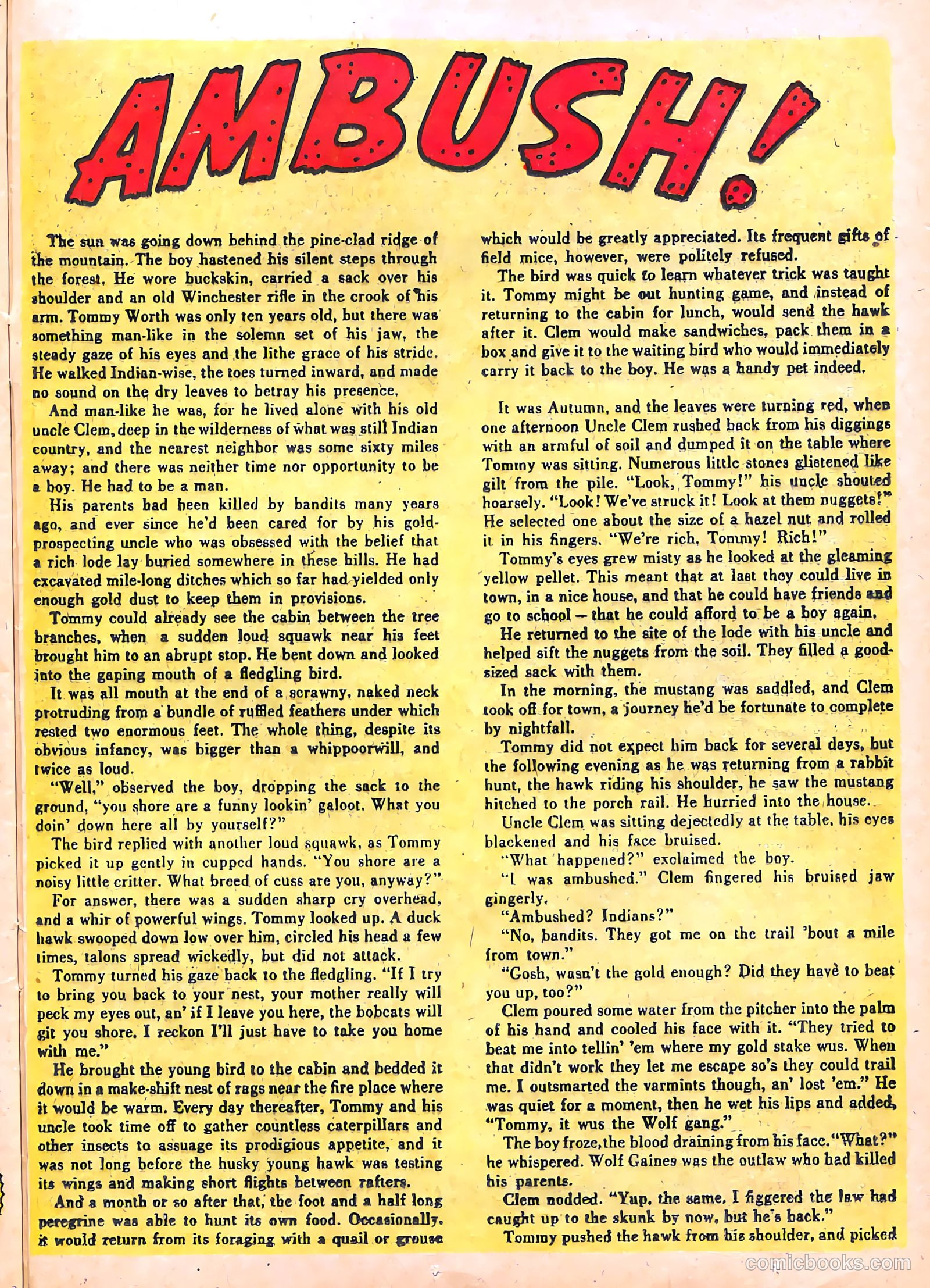 The Lone Rider #21 (1950) — page 25 of 36