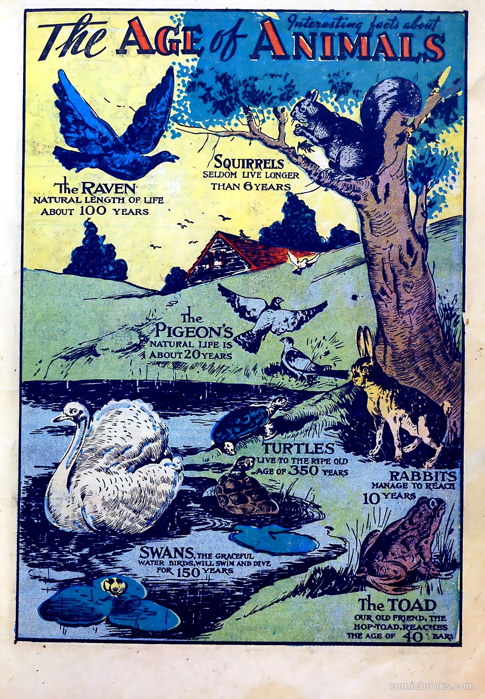 Komik Pages #1 (1945) — page 17 of 50