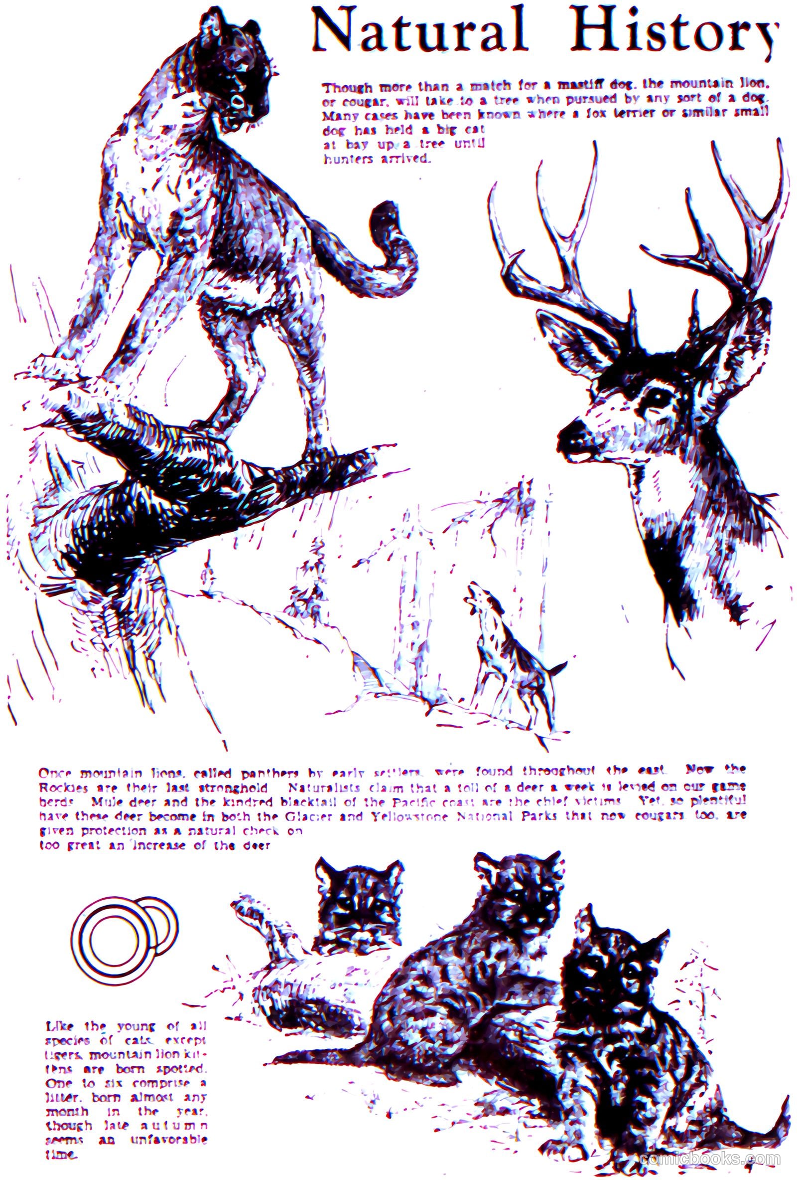 Comics Magazine #3 — page 30 of 67