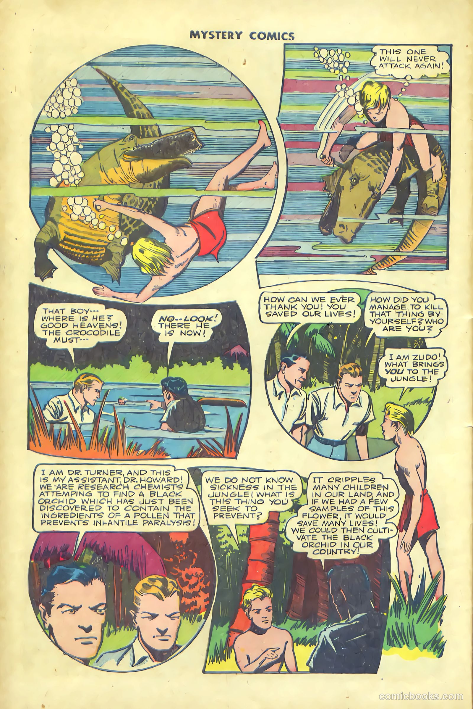 Mystery Comics #1 (1944) — page 14 of 52