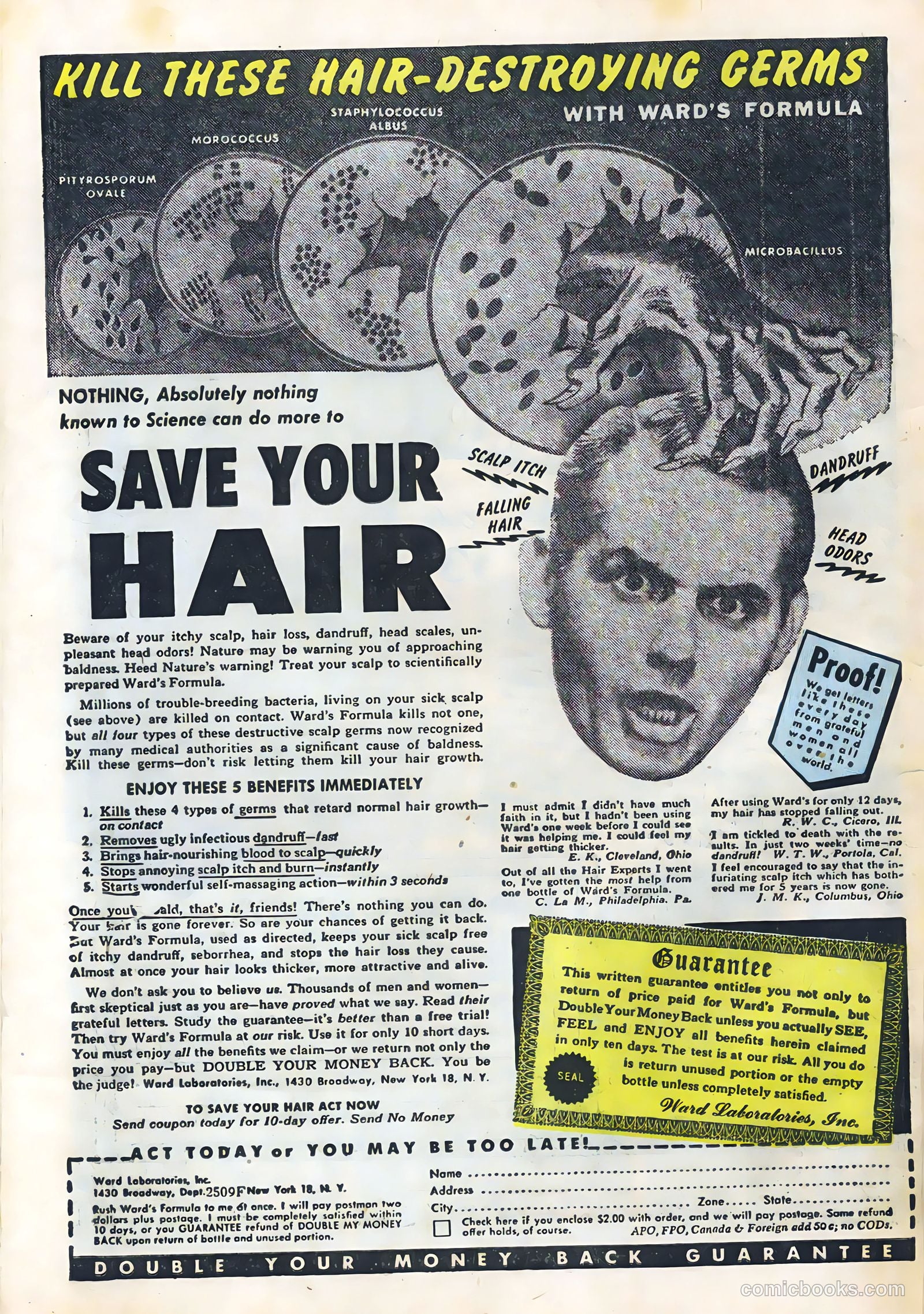 Headline Comics #61 (1949) — page 34 of 36