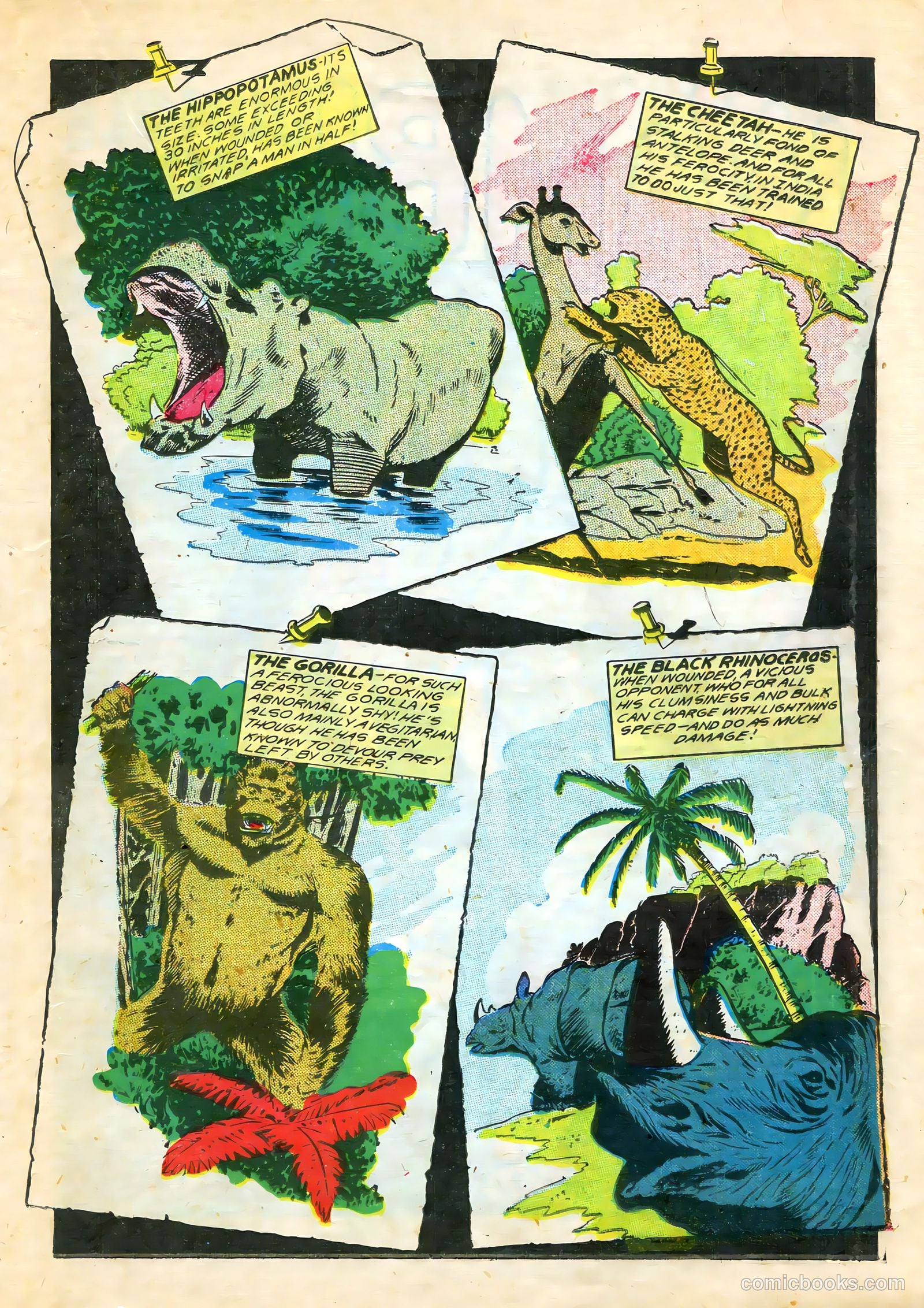 Wambi #7 (1958) — page 29 of 52