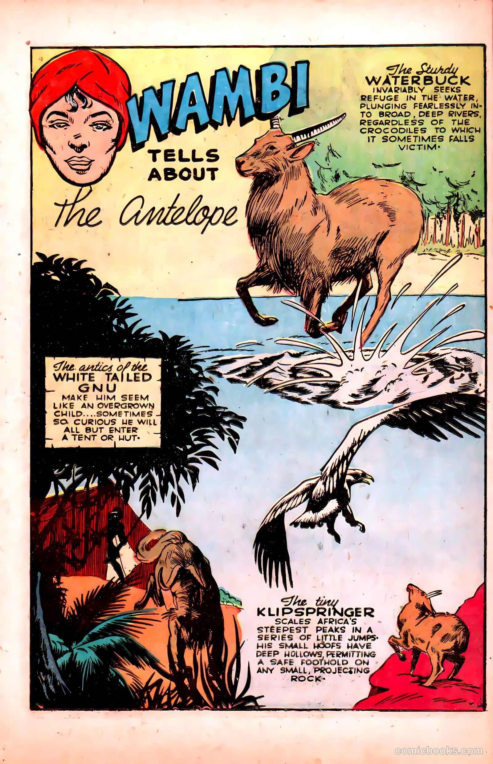 Wambi #6 (1958) — page 15 of 52