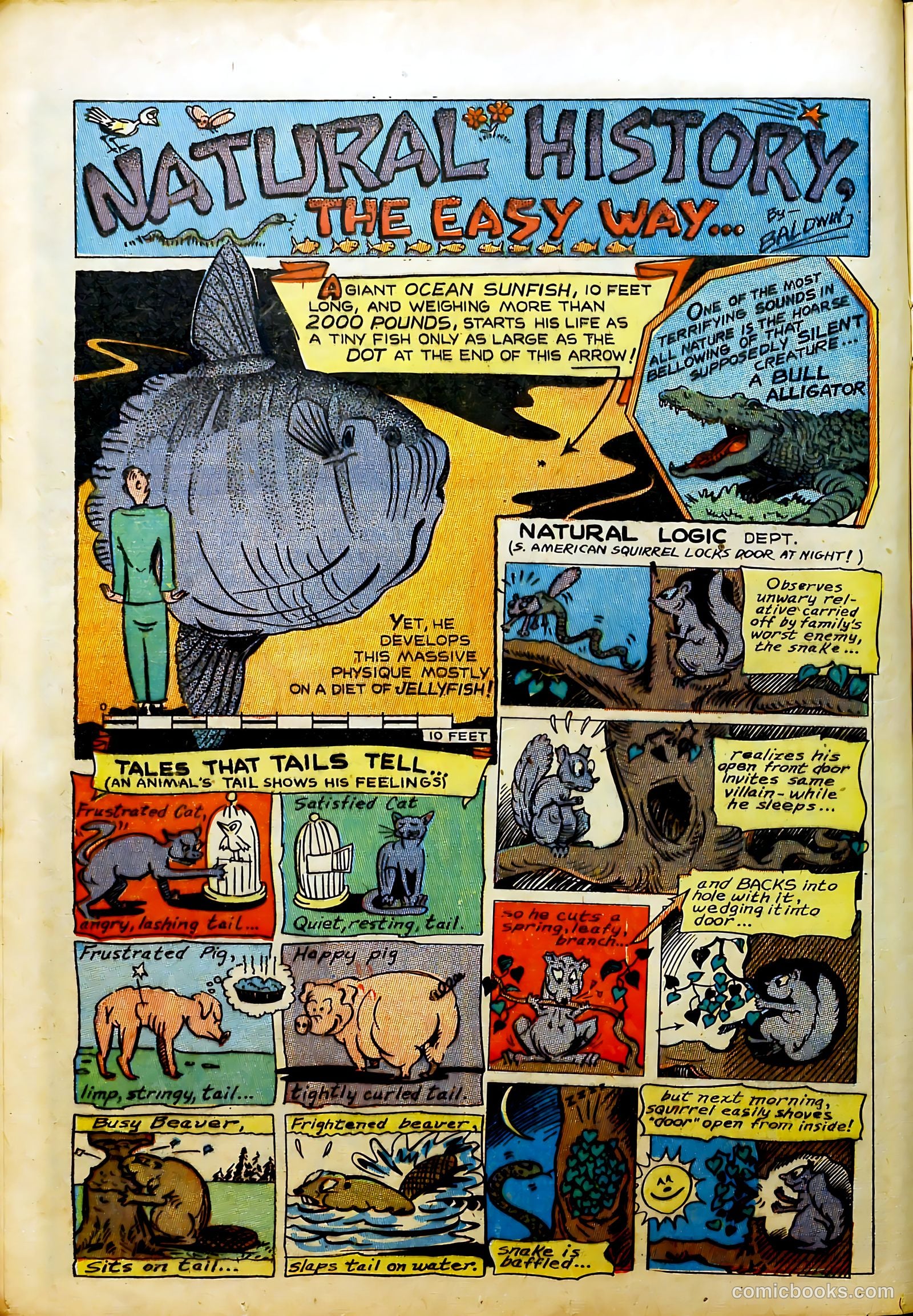 Prize Comics #61 (1940) — page 22 of 53