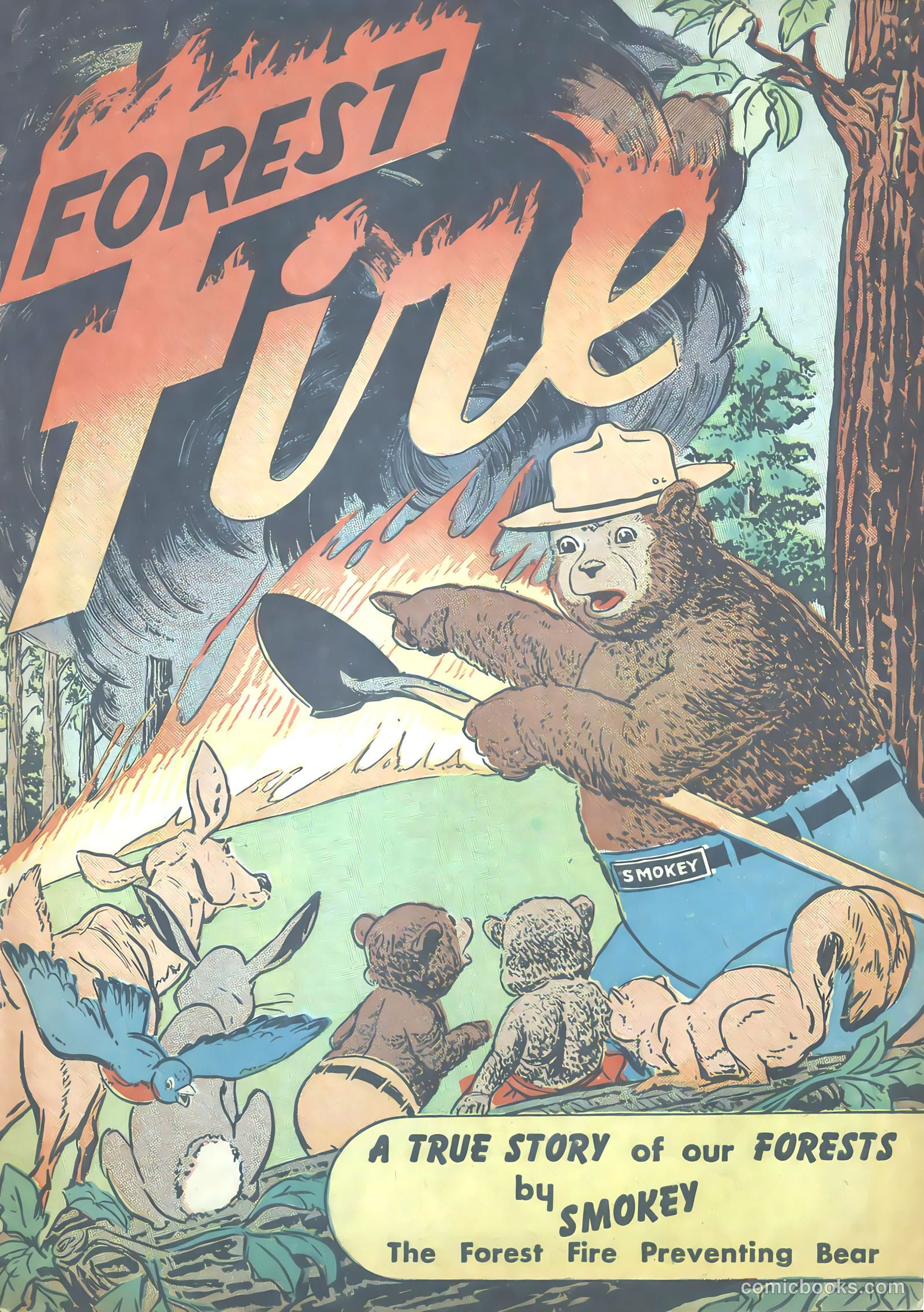 Forest Fire #nn