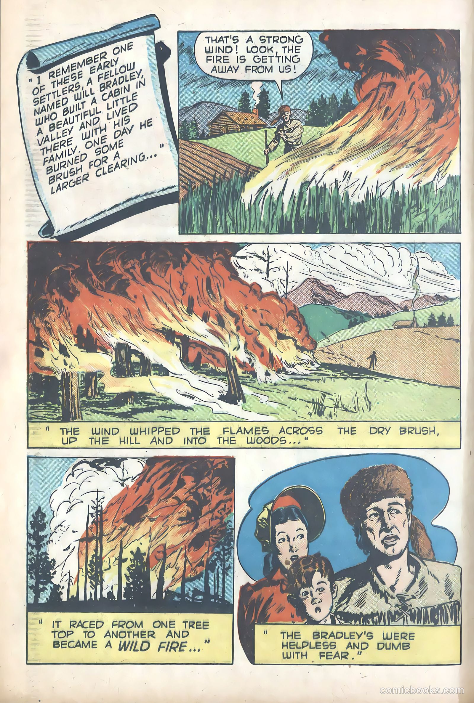 Forest Fire #nn (1950) — page 6 of 16