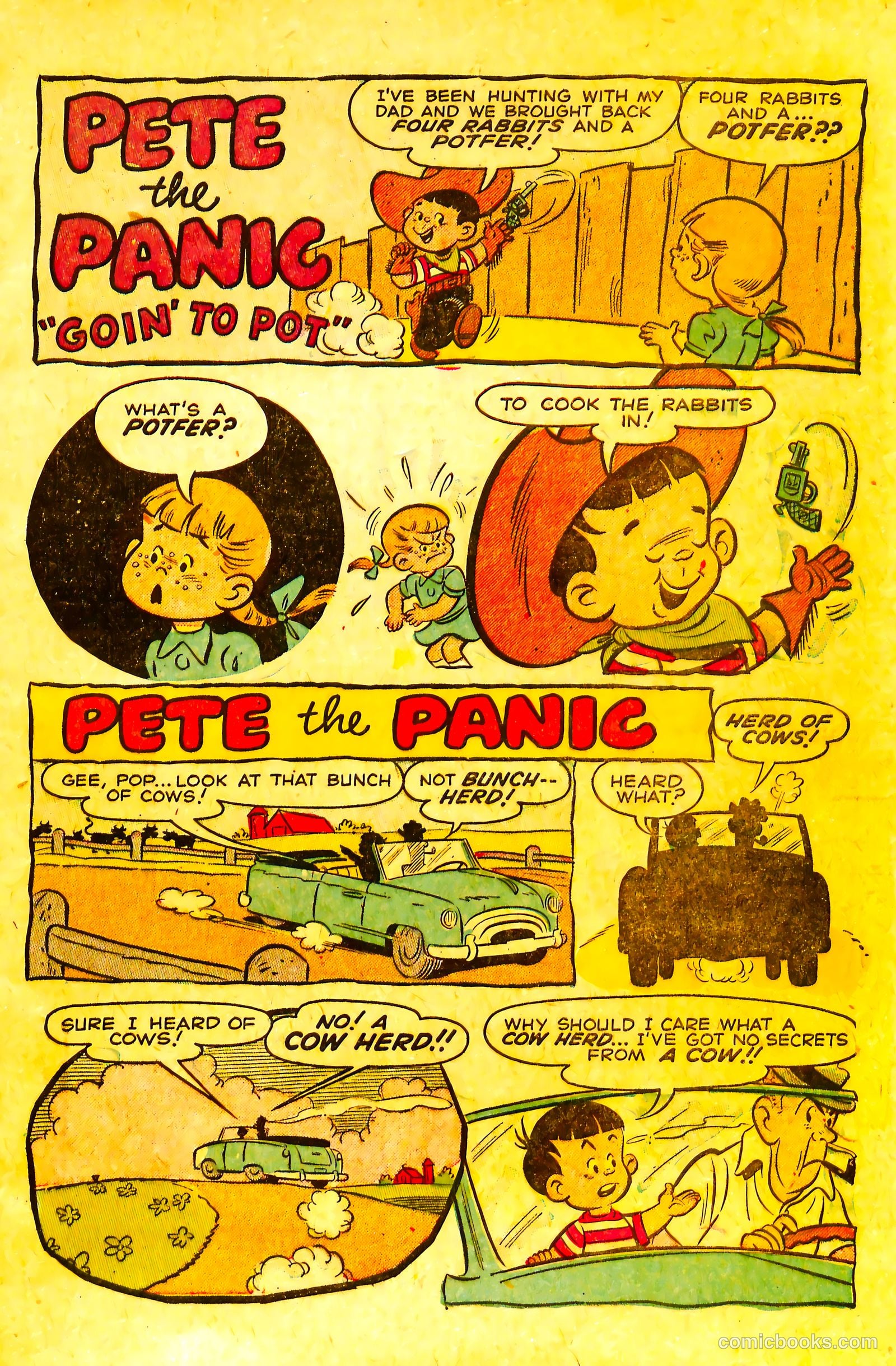 pete the panic nn #nn — page 7 of 36