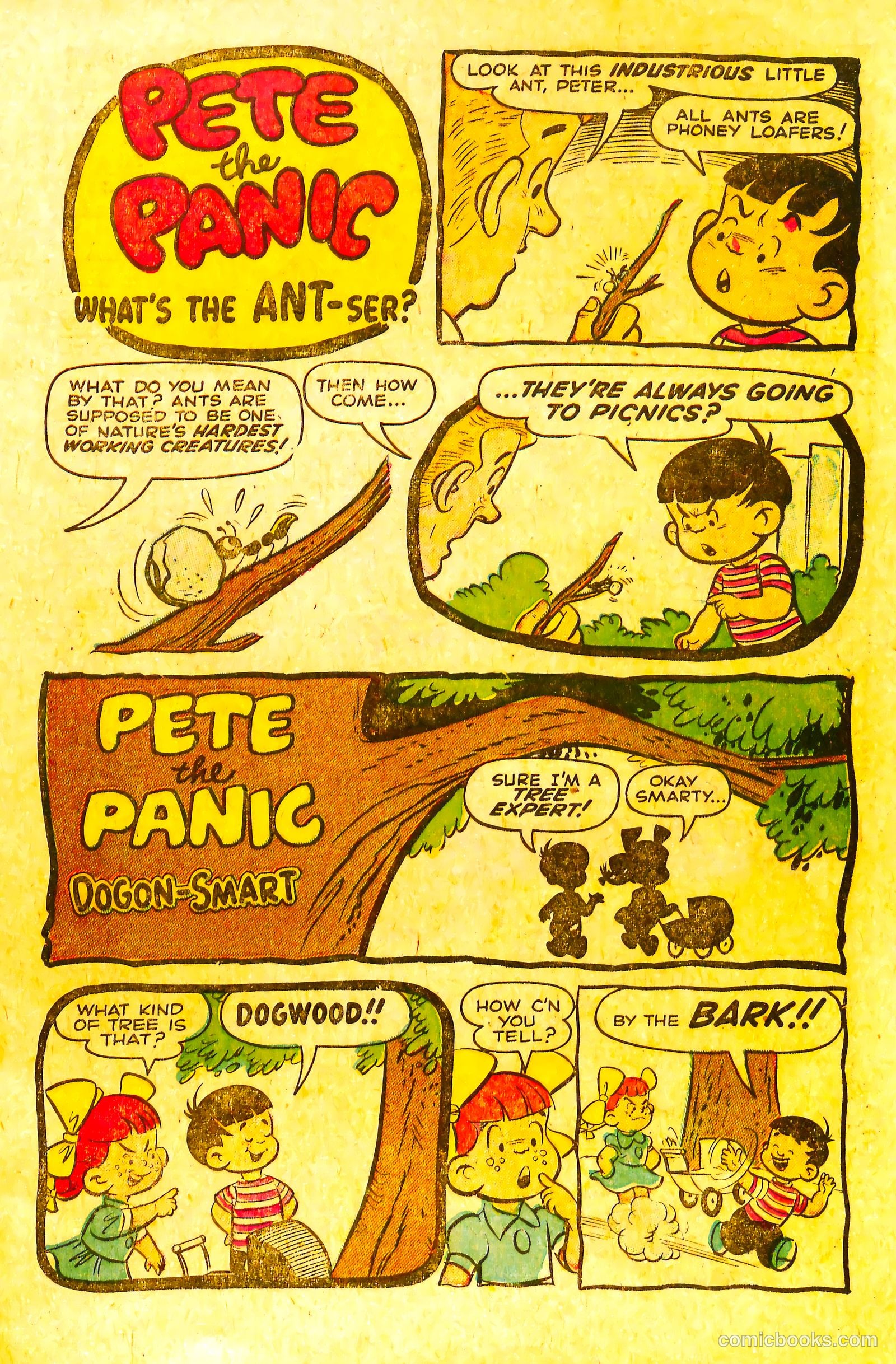 pete the panic nn #nn — page 17 of 36