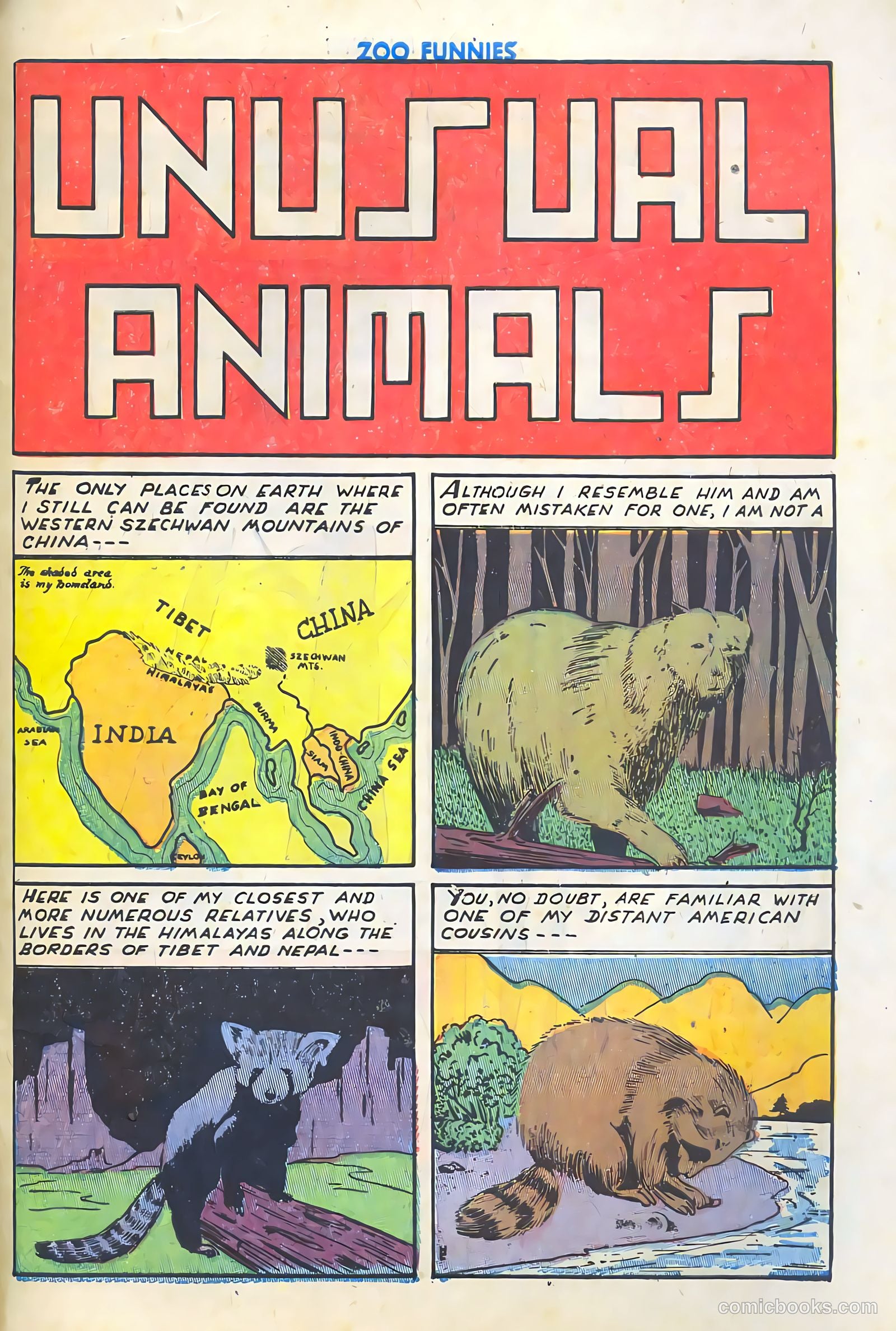 Zoo Funnies v1 #5 — page 49 of 52