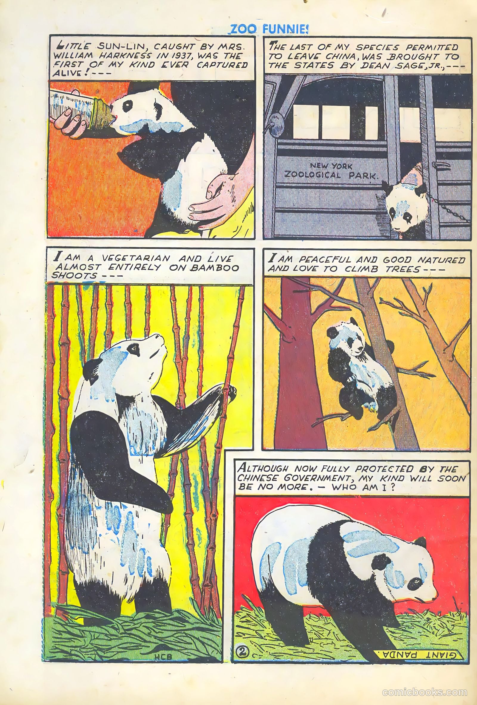 Zoo Funnies v1 #5 — page 50 of 52